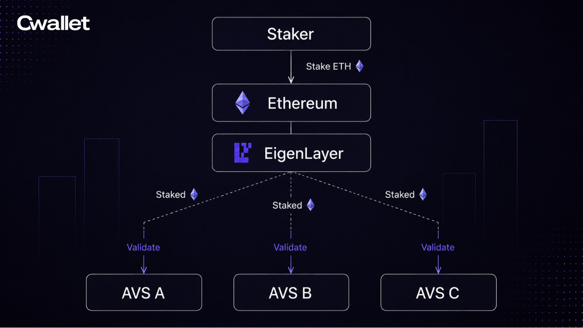 Diagram illustrating the staking process in Ethereum using EigenLayer, featuring a Staker, the Ethereum network, and validation paths for AVS A, AVS B, and AVS C.