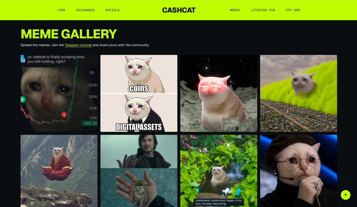 Meme gallery featuring various humorous cat memes, including a cat with a shocked expression and captions about cryptocurrency.