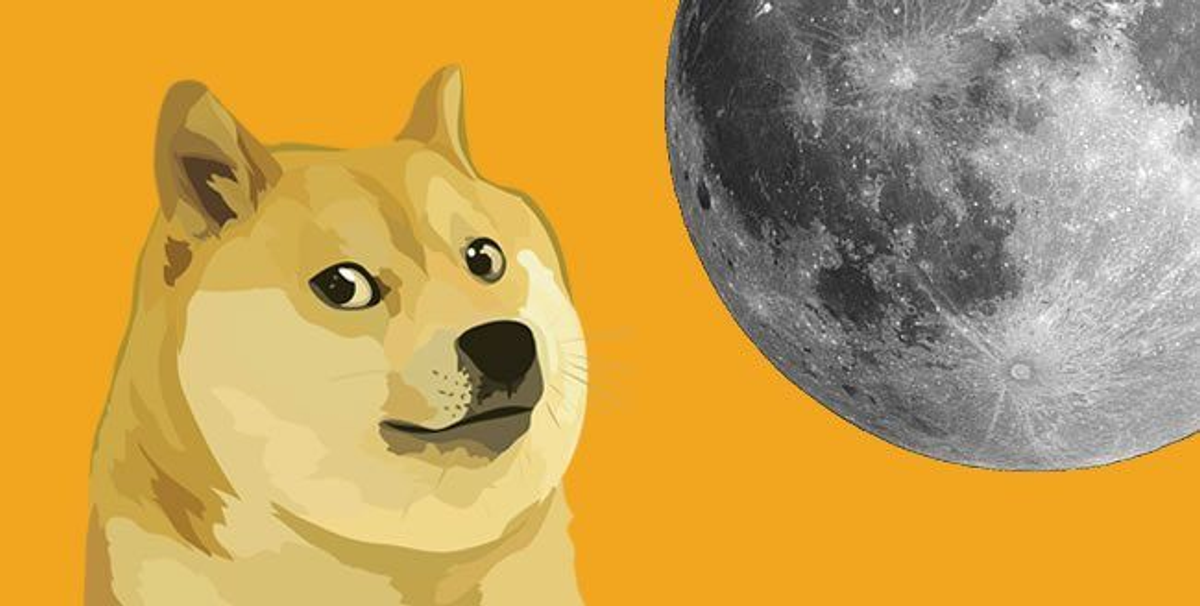 $DOGE to the moon