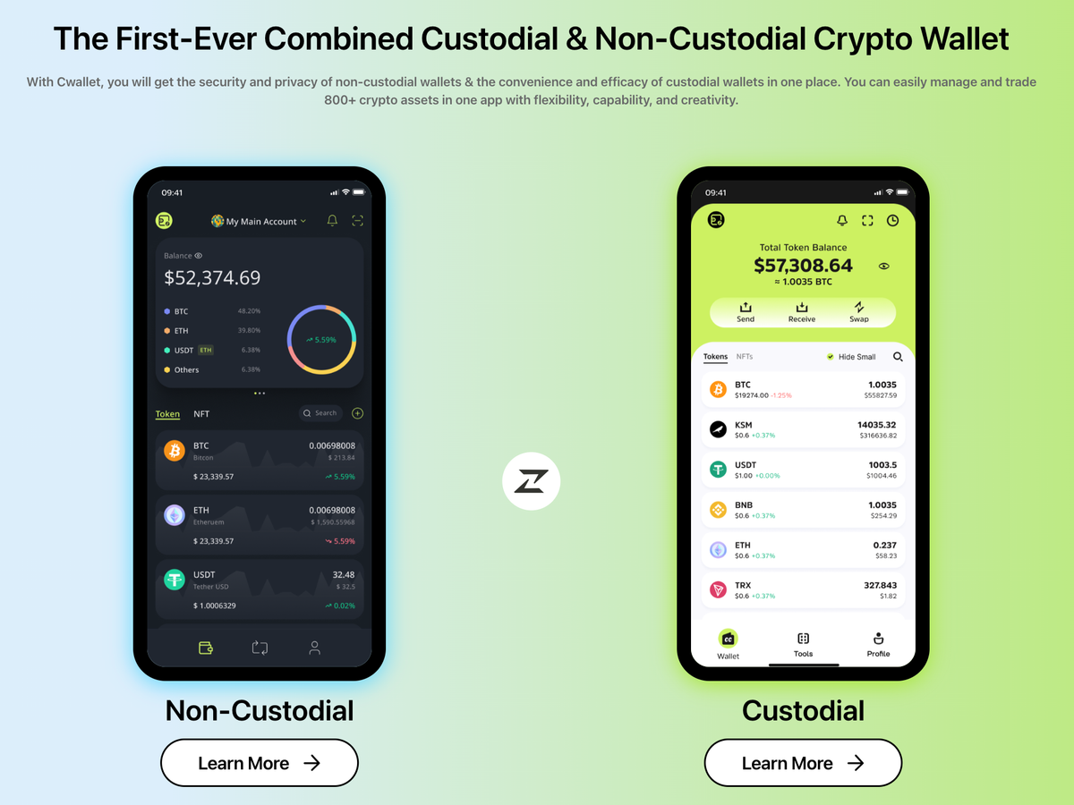 What Is a Decentralized Wallet and How Do They Work