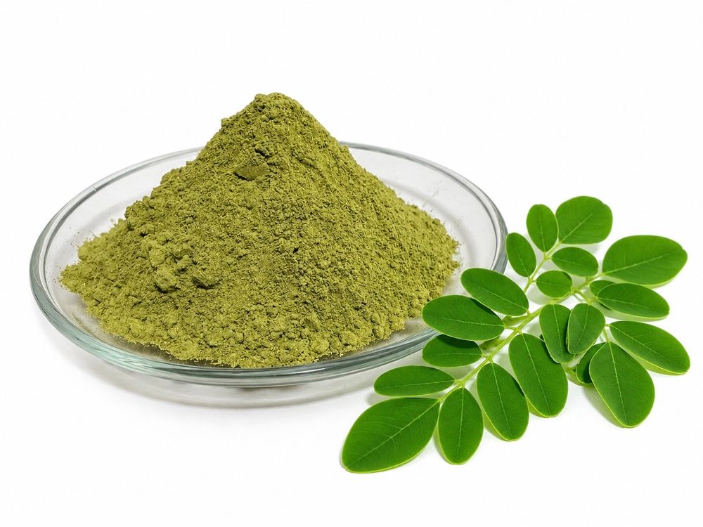 Morninga leaf powder