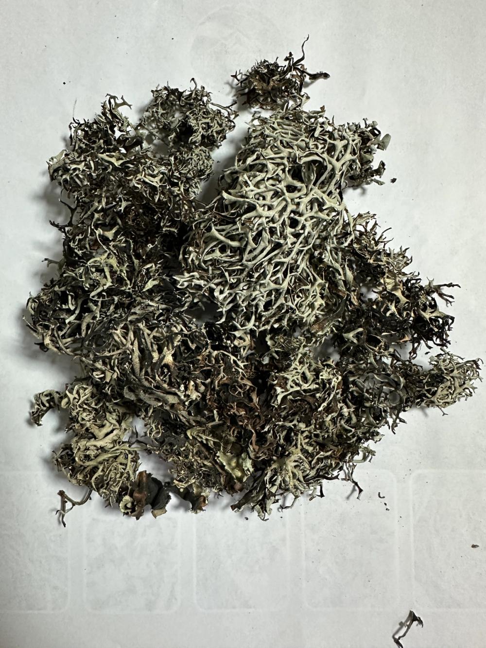 Jhyau /Yangben/ stone flower