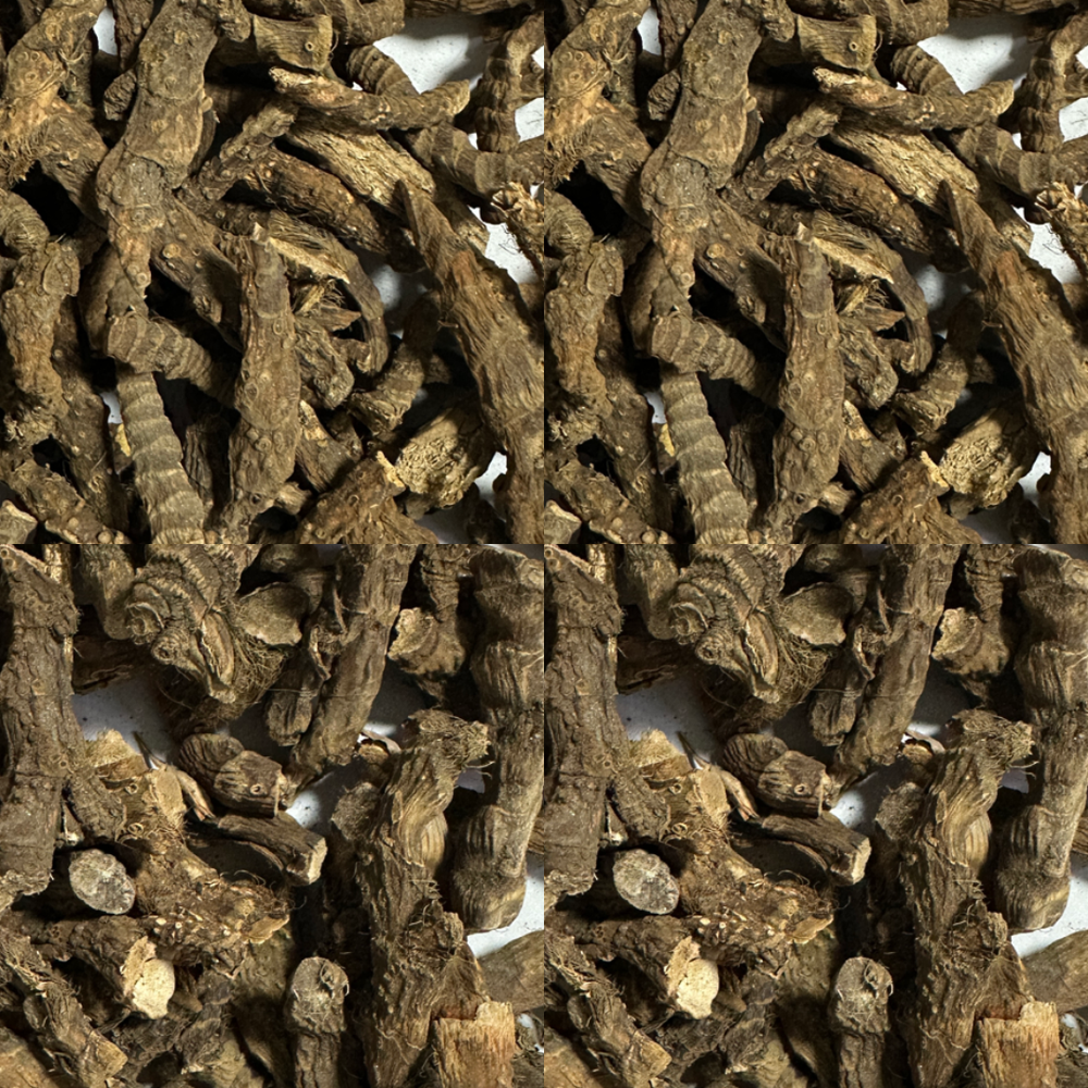 Bojho
