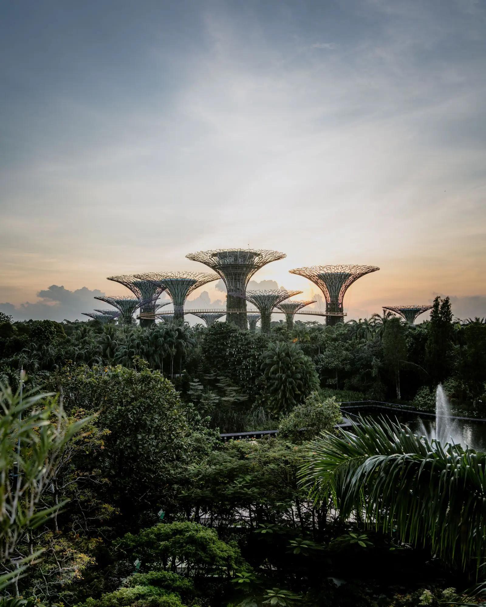 Singapore horizon