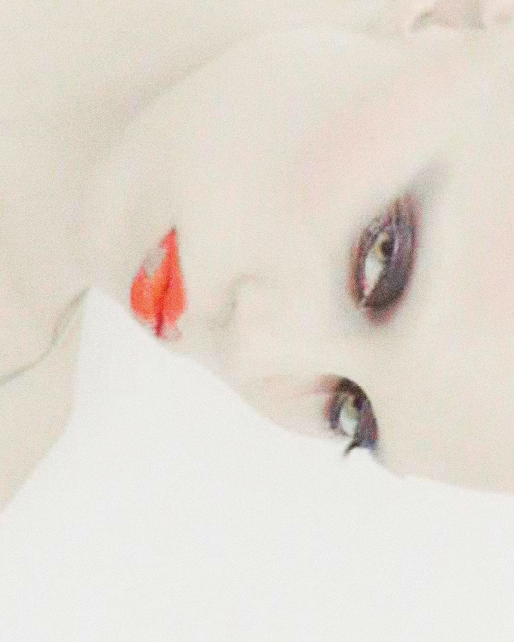 THE BEAUTY EDIT — 8