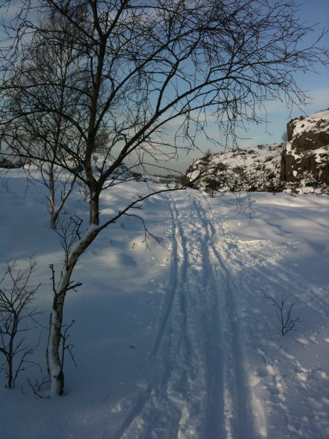 Snowy winter landscape with a bare tree, ski tracks, and rocky hills under a blue sky.