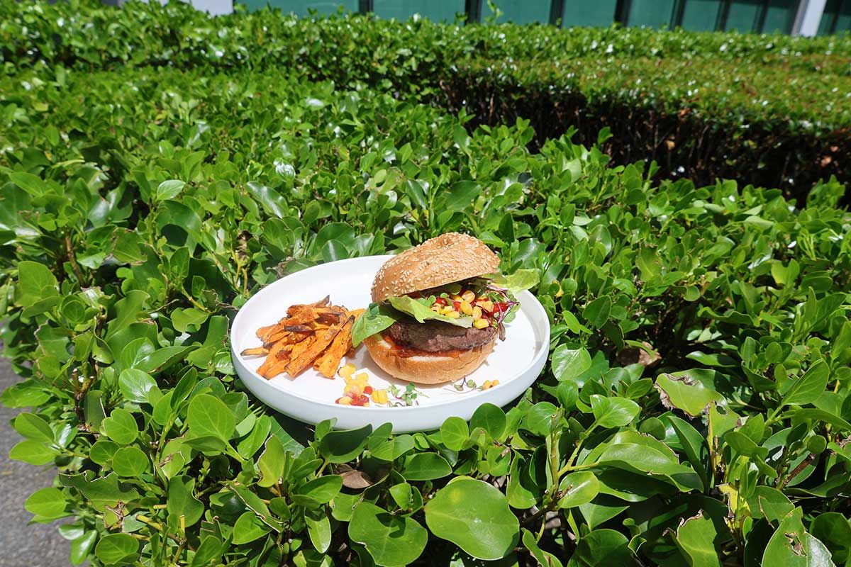 Beef and caramelised onion burgers Recipe | Beef + Lamb New Zealand
