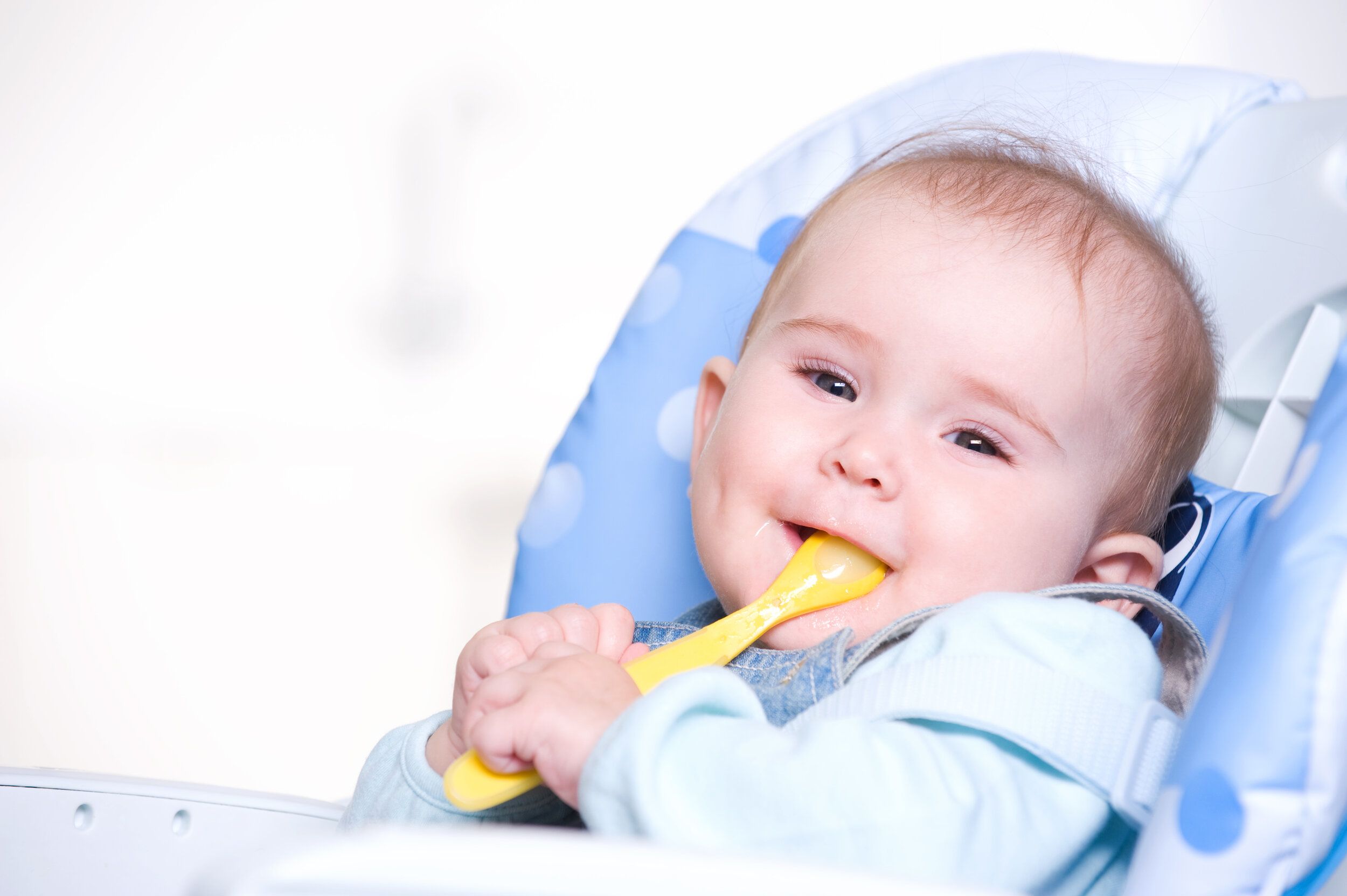 Babies' First Foods: Introducing meat - a focus on liver