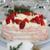 Frozen Meringue & Strawberry Cake