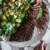 Barbecued Tri-Tip Steak with Italian Potato Salad