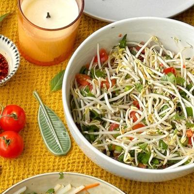 a bowl of bean sprouts salad with tomatoes and other vegetables on a table . a bowl of bean sprouts salad with tomatoes and other vegetables on a table .