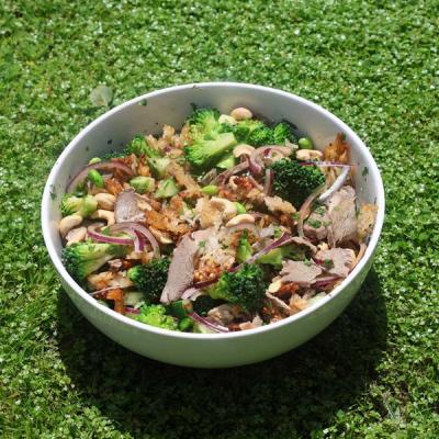 A salad with sliced lamb, broccoli, red onion, and cashews in a white bowl on green grass.
