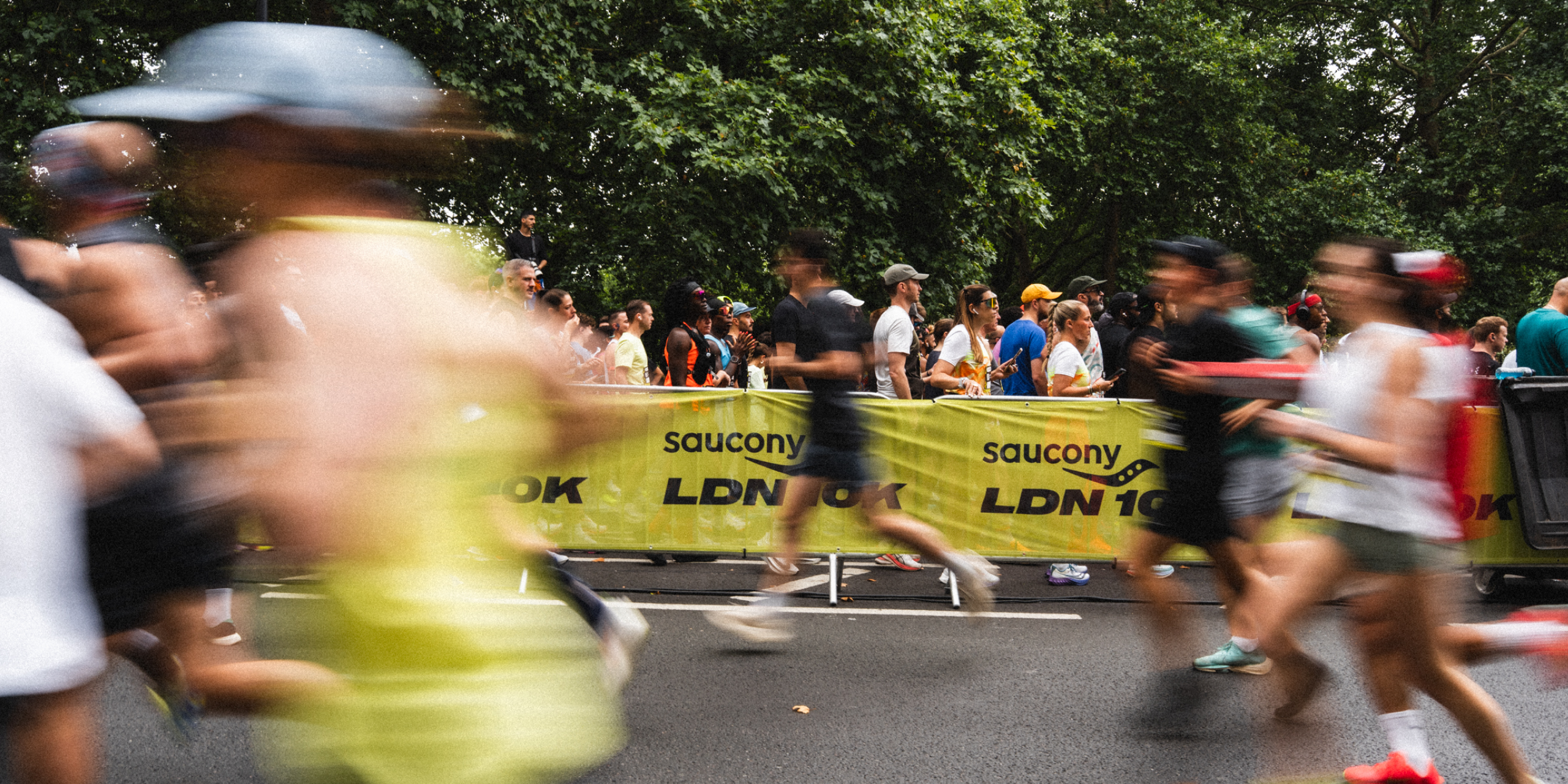 A hero Rosie Lee image