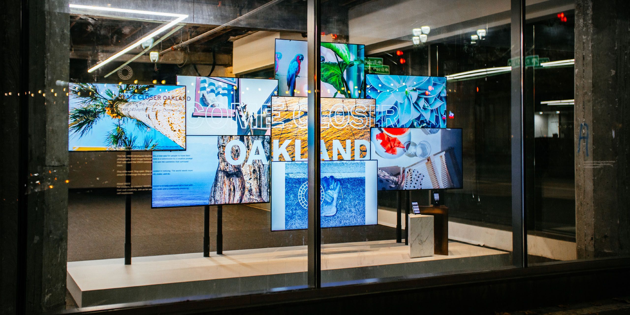 A hero Rosie Lee image