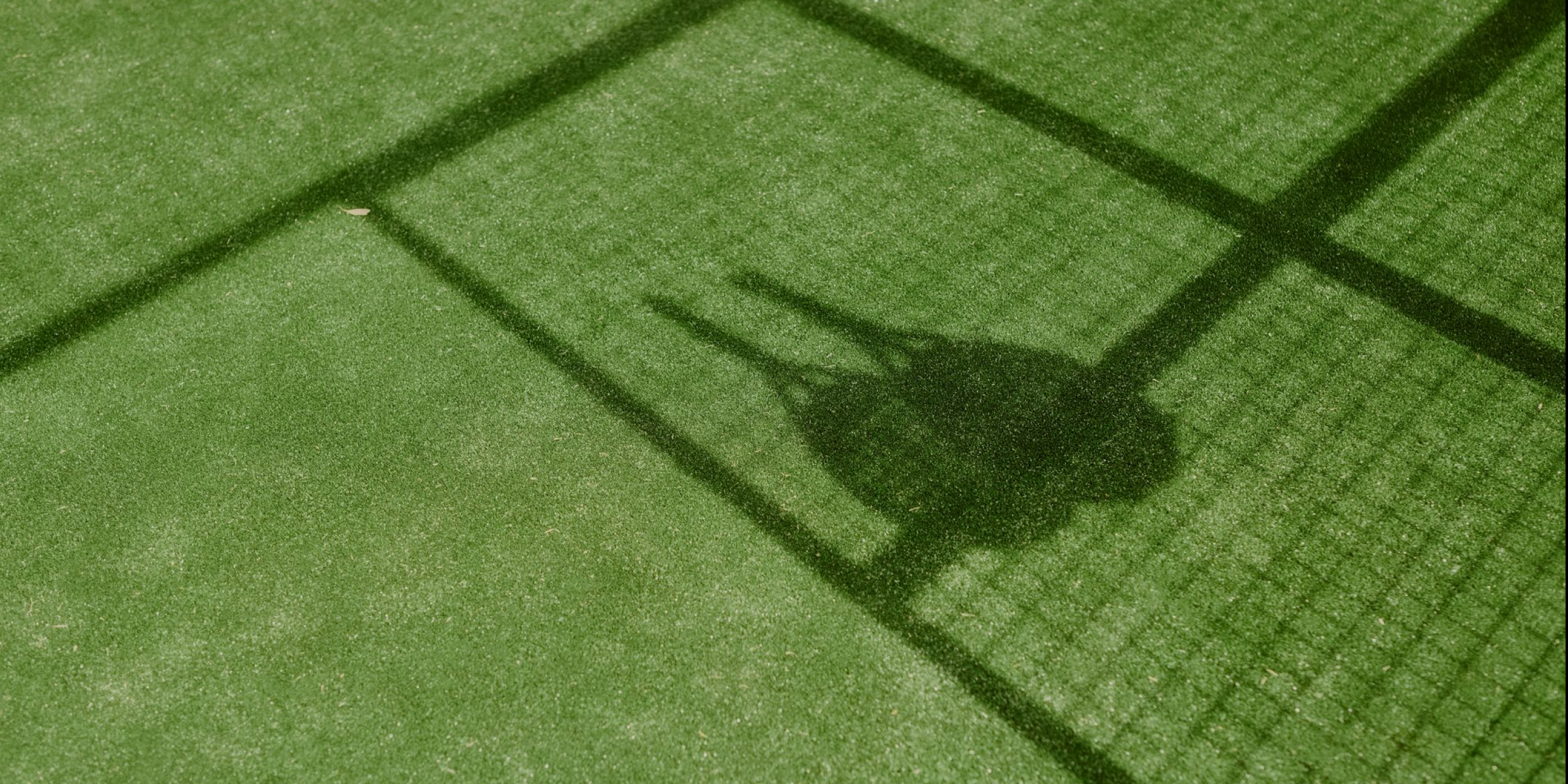 A hero Rosie Lee image