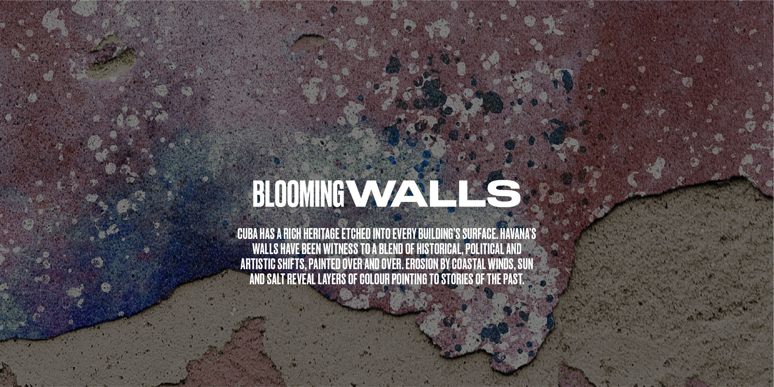 A hero Rosie Lee image