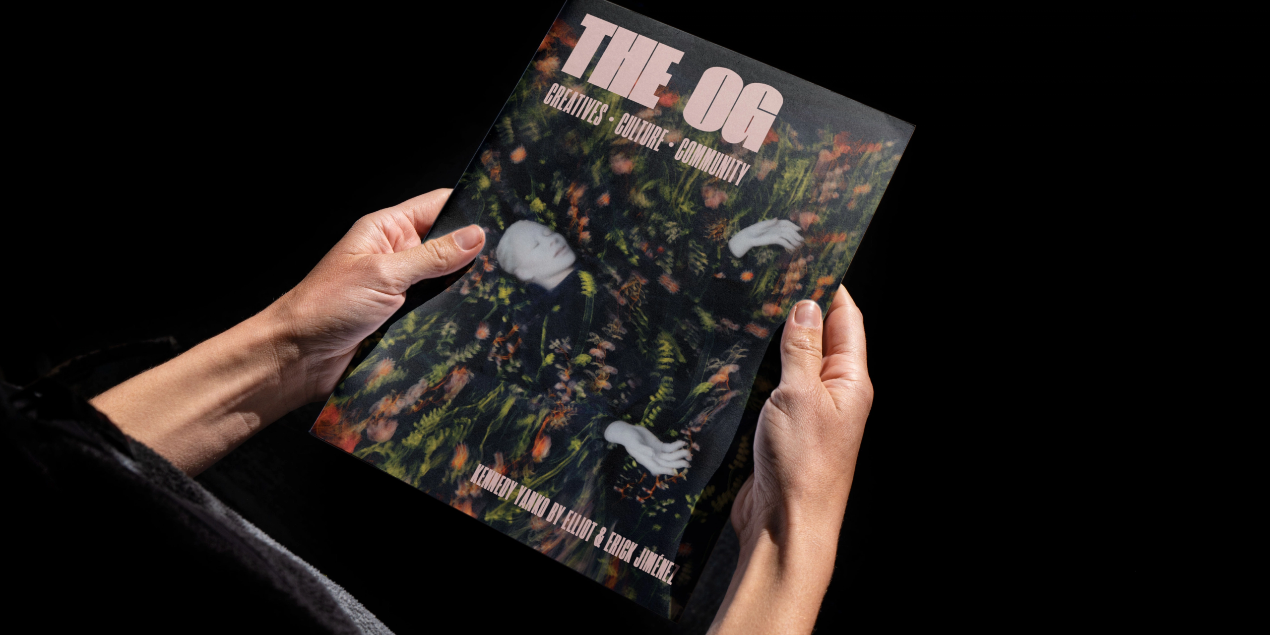 A hero Rosie Lee image