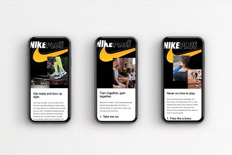 A hero Rosie Lee image