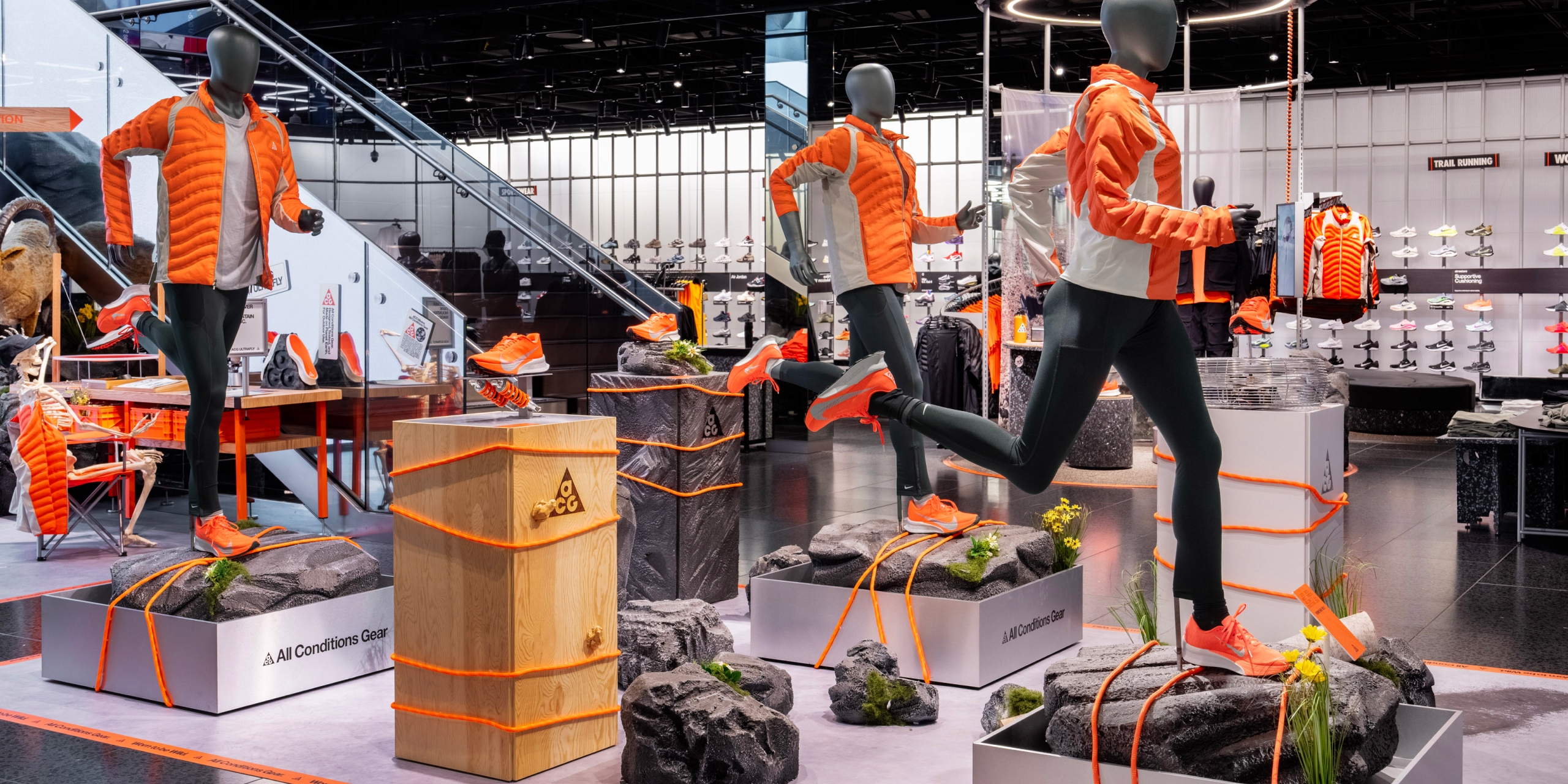 A hero Rosie Lee image