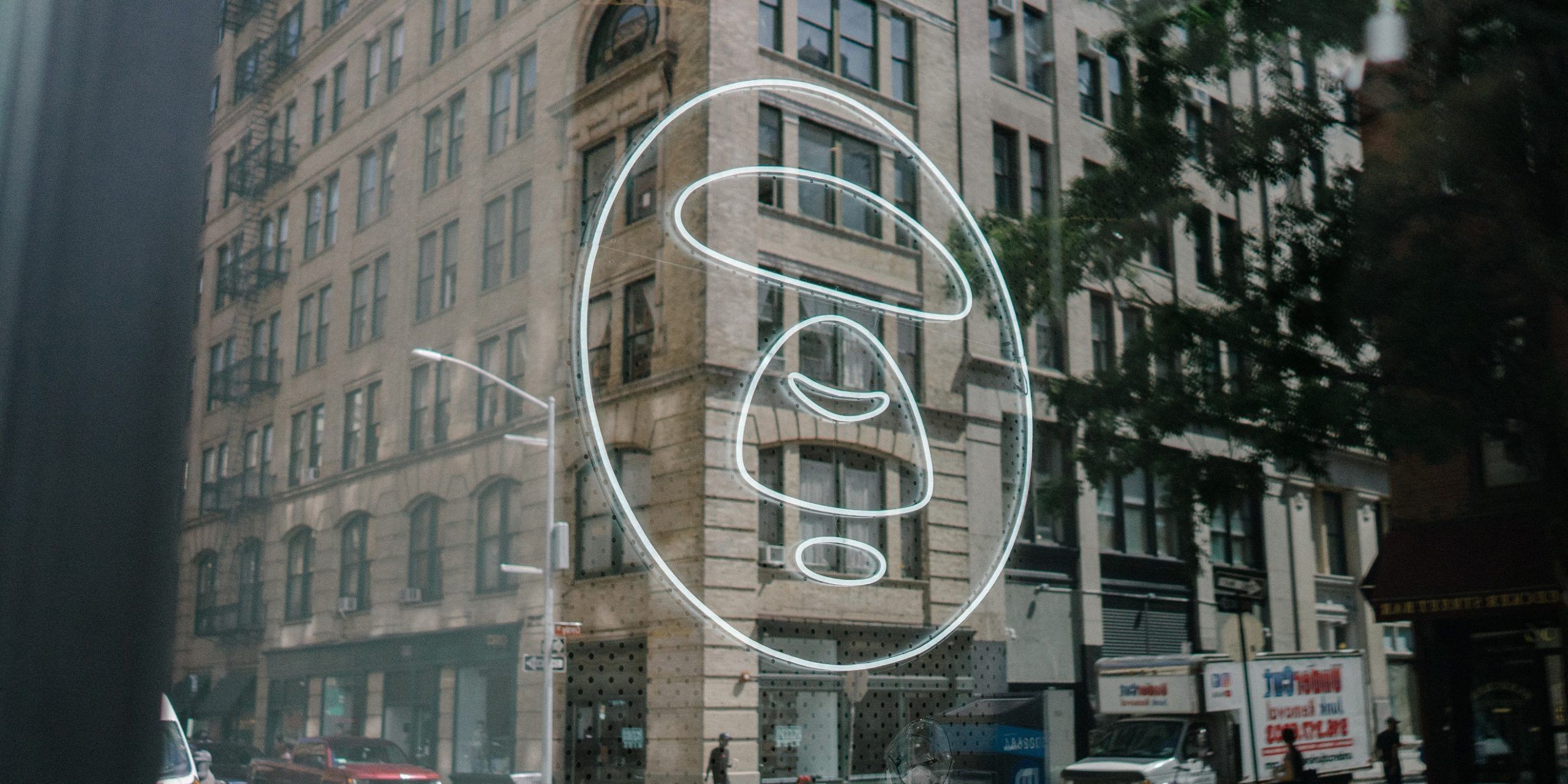 A hero Rosie Lee image