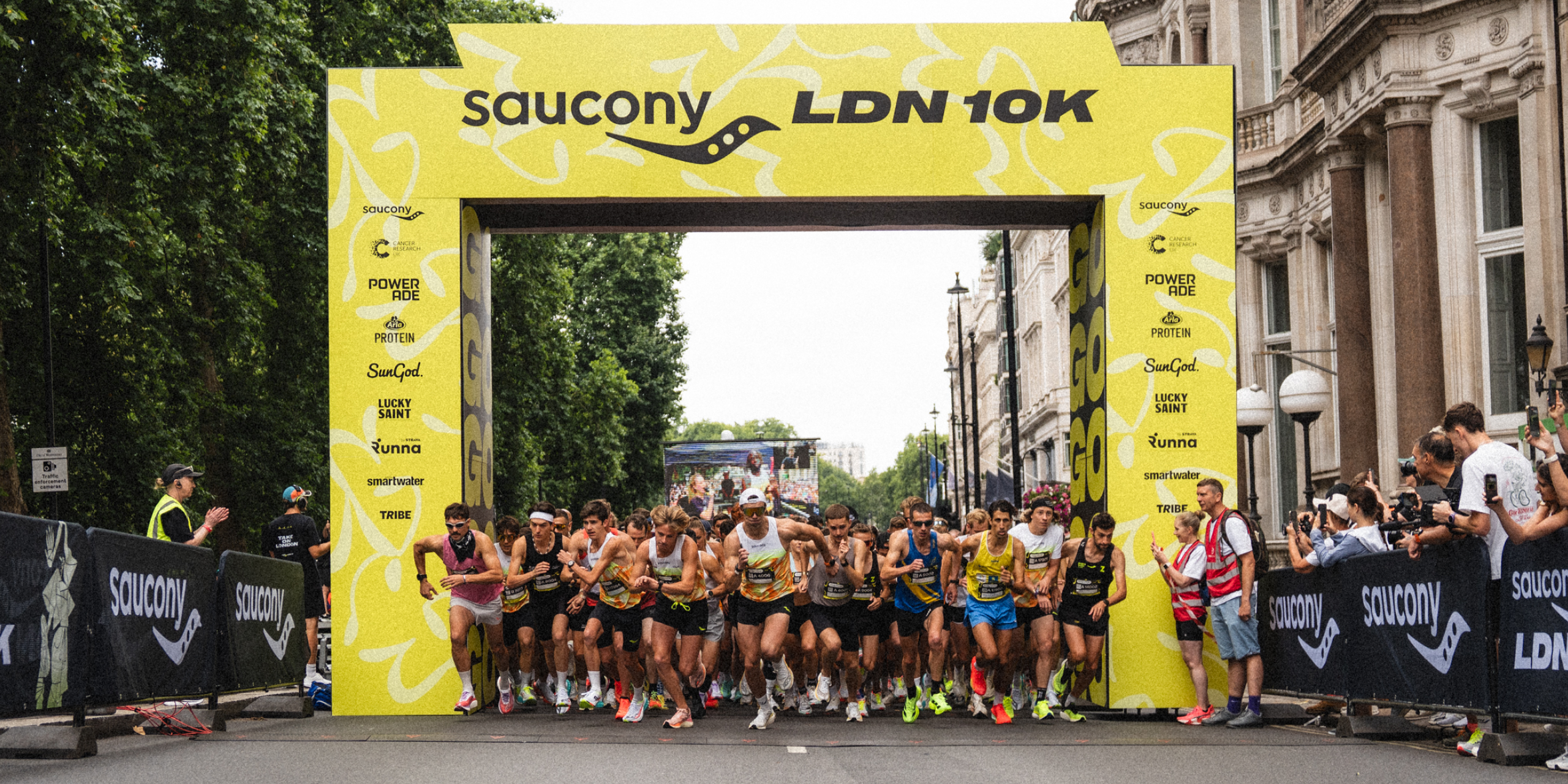 A hero Rosie Lee image