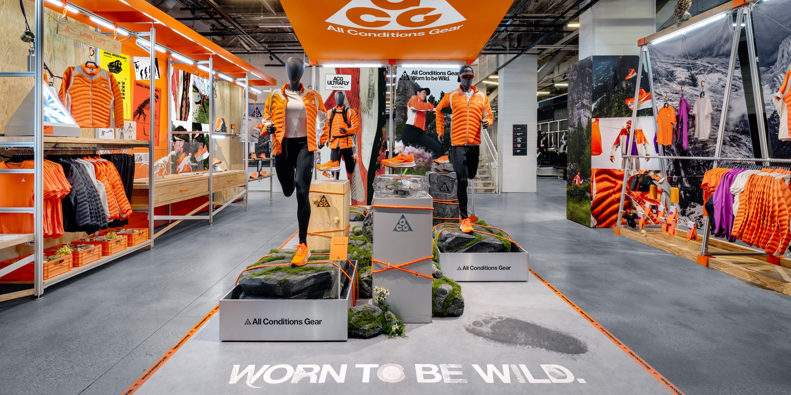 A hero Rosie Lee image