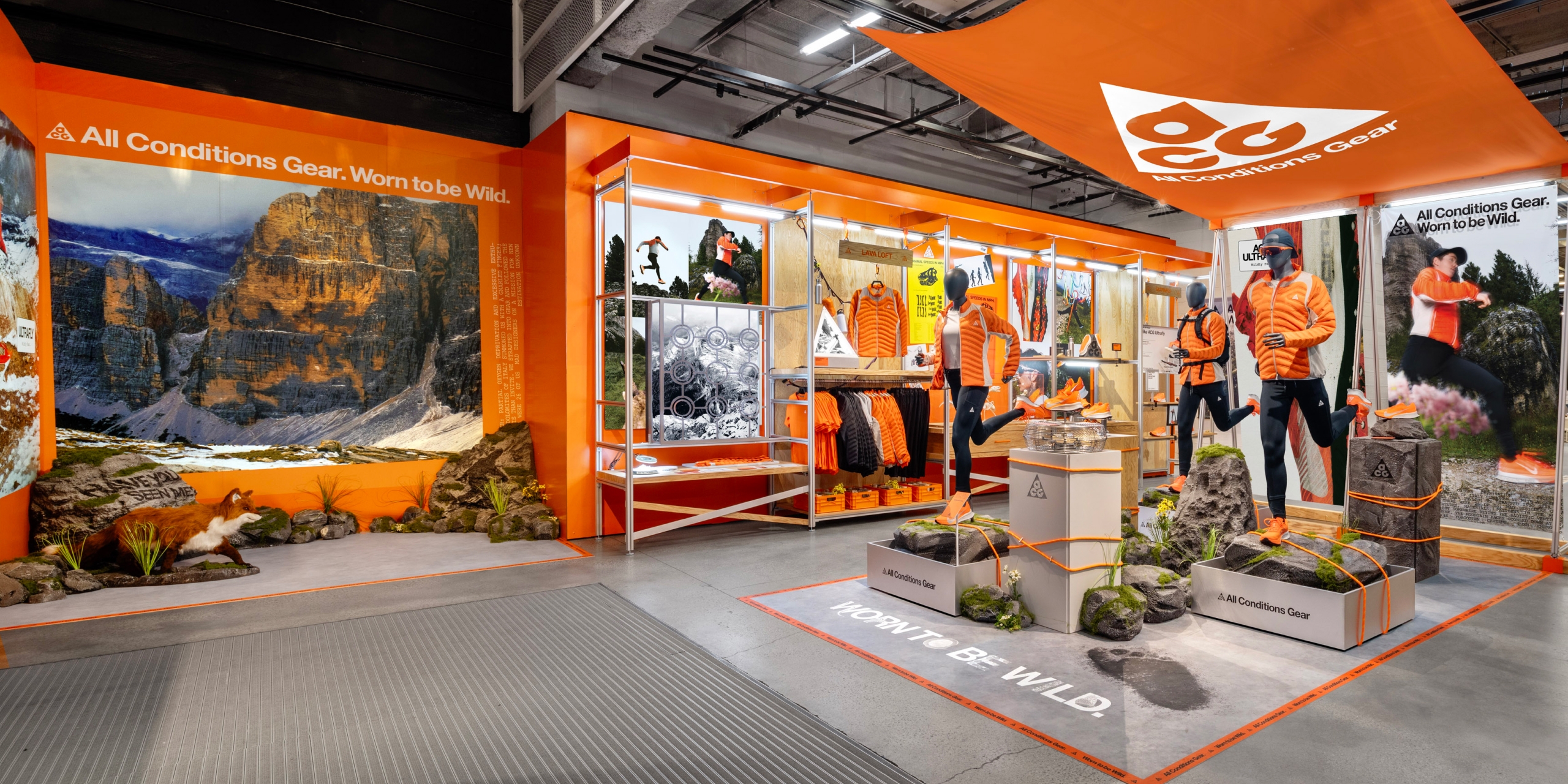 A hero Rosie Lee image