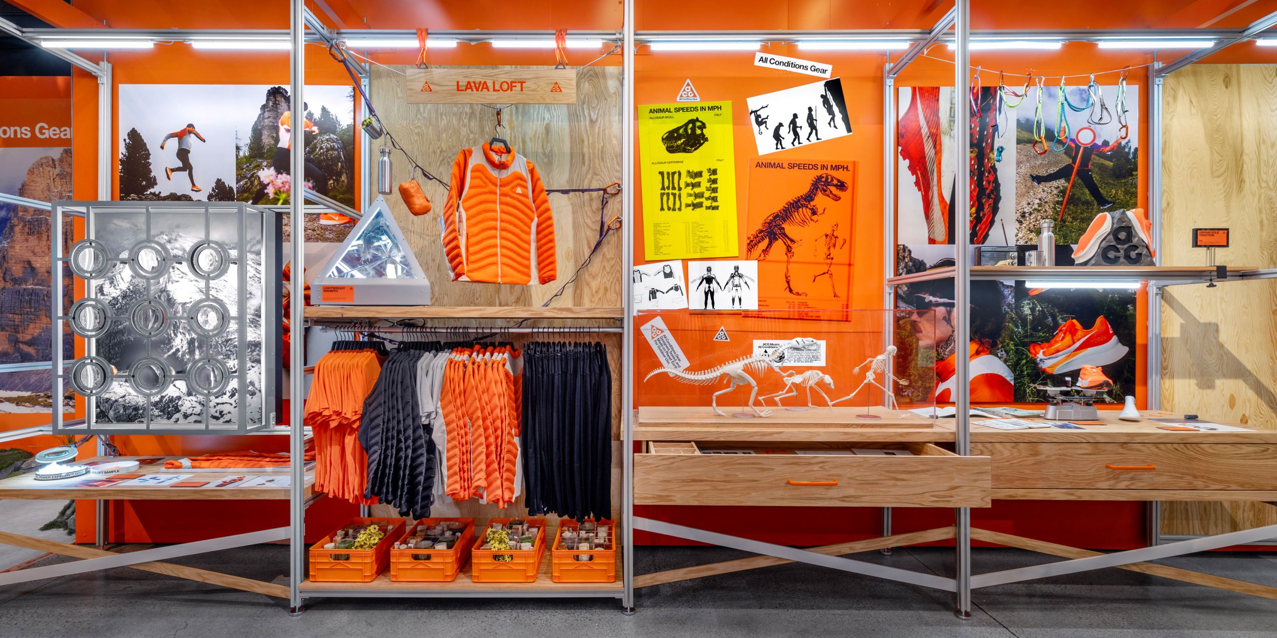 A hero Rosie Lee image