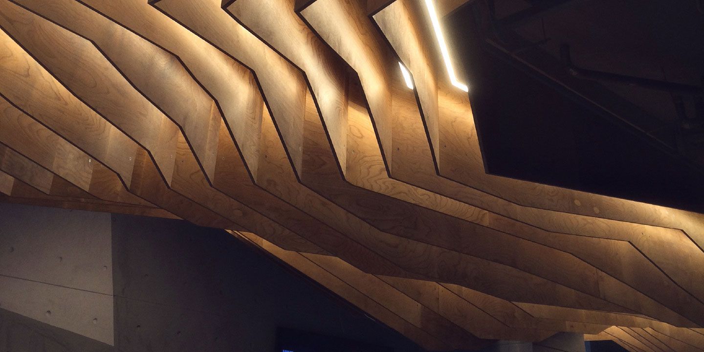 A hero Rosie Lee image