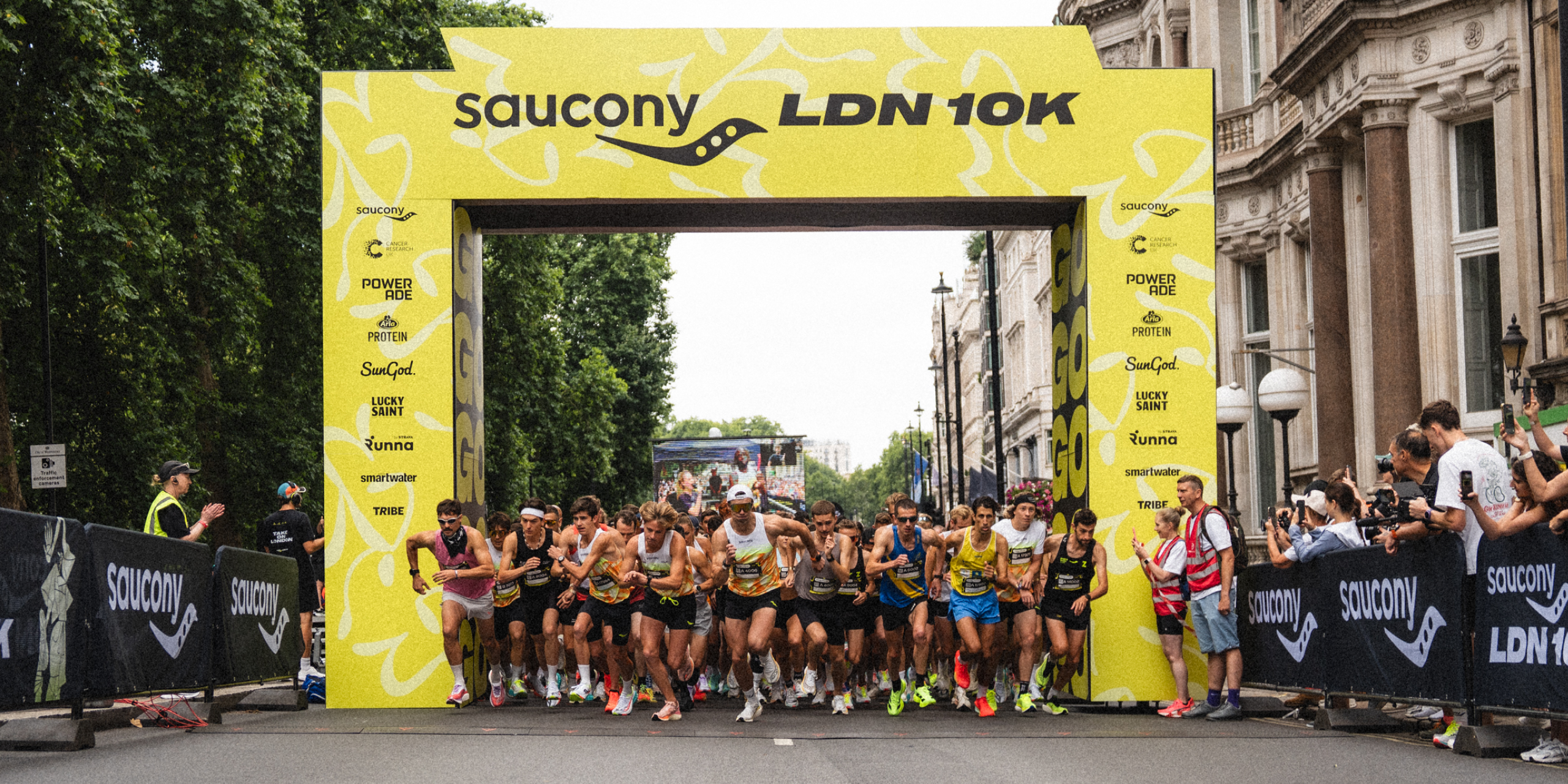 A hero Rosie Lee image