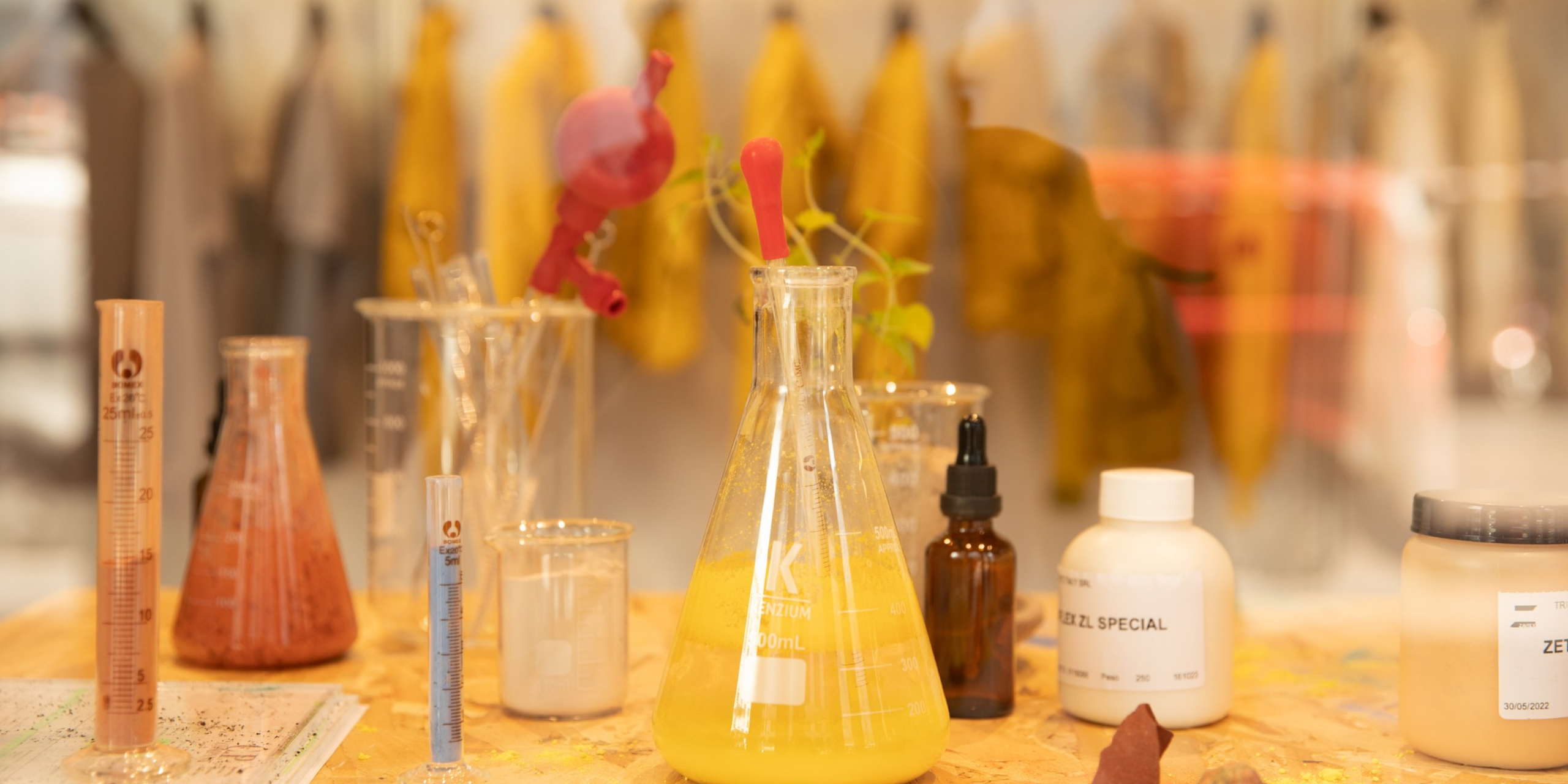 A hero Rosie Lee image