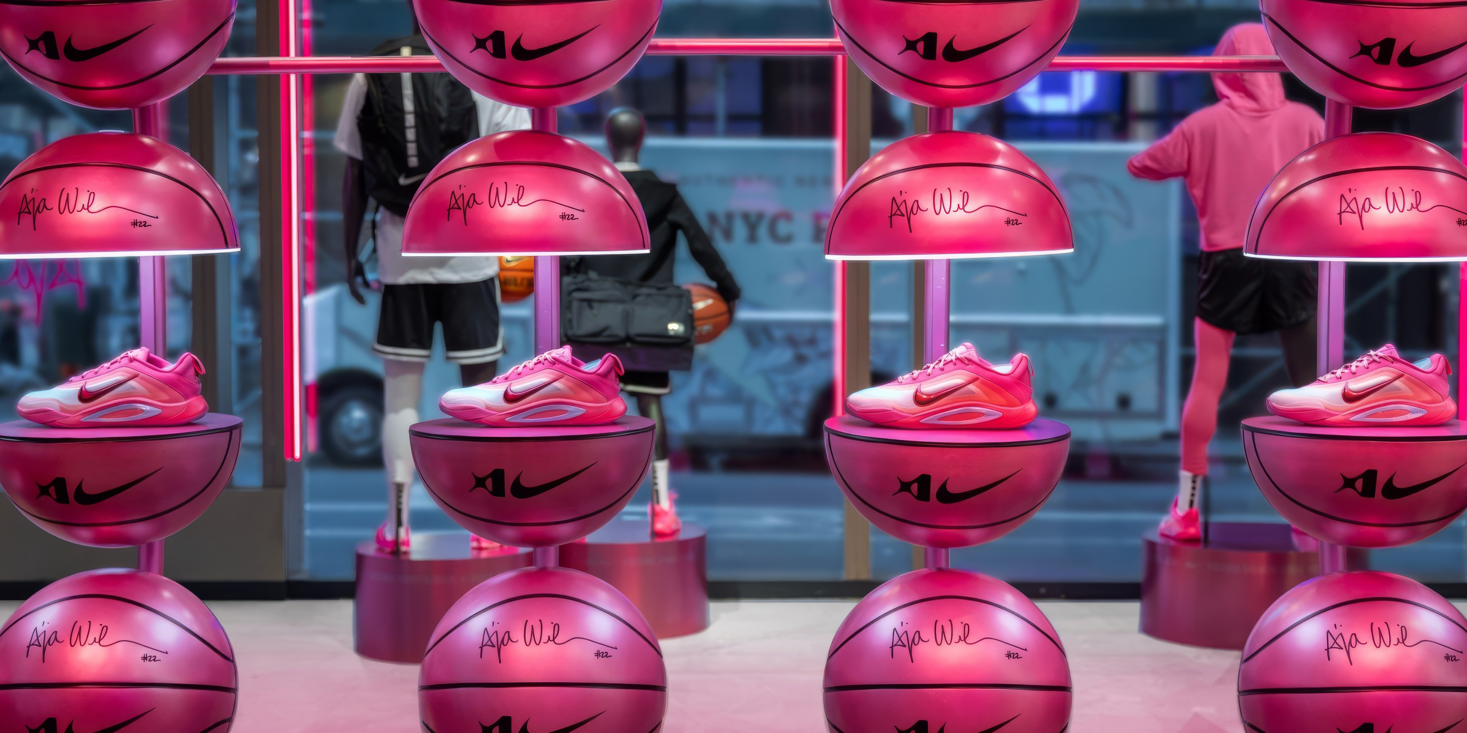 A hero Rosie Lee image