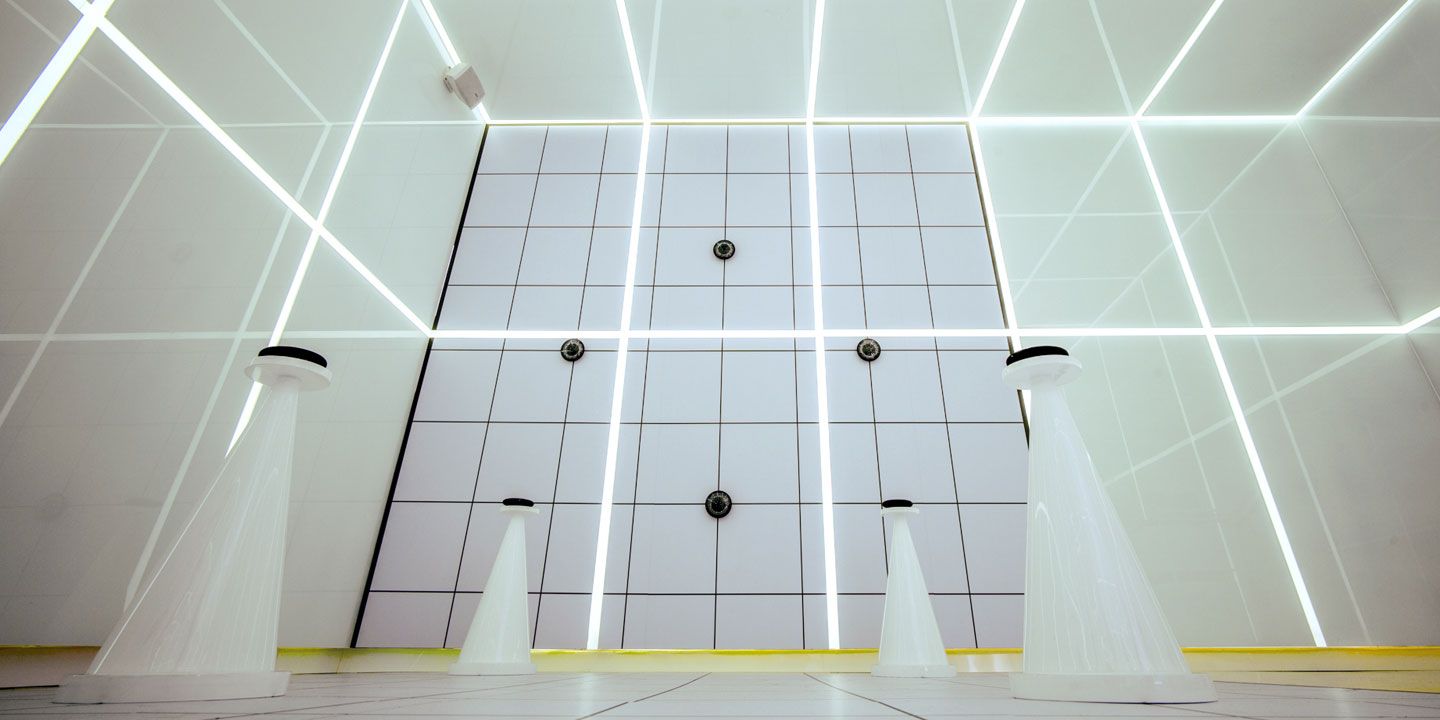 A hero Rosie Lee image