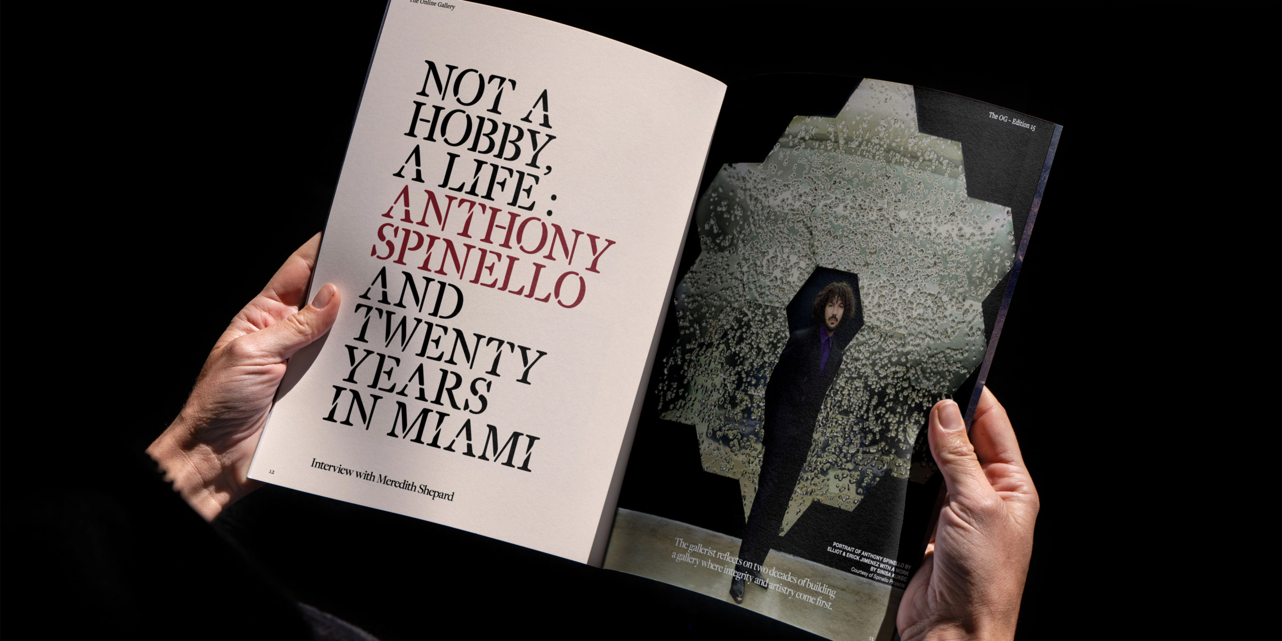 A hero Rosie Lee image