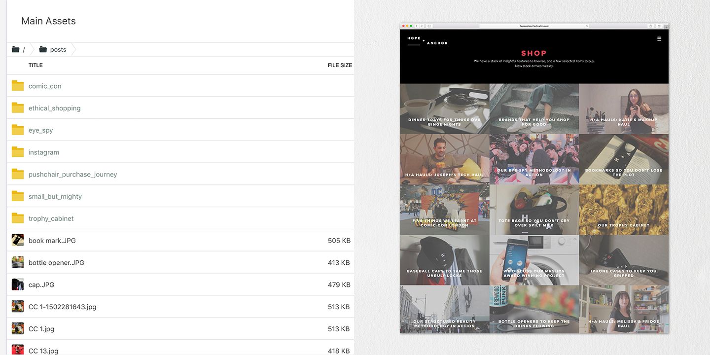 A hero Rosie Lee image