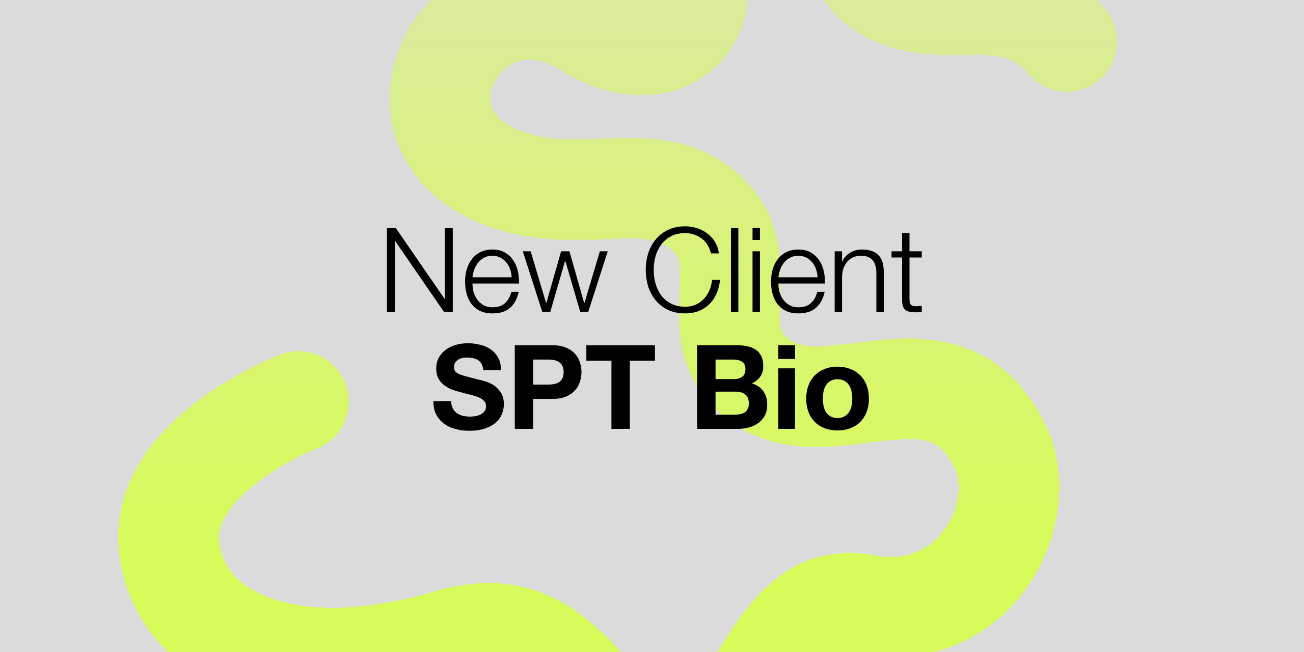 A hero Rosie Lee image