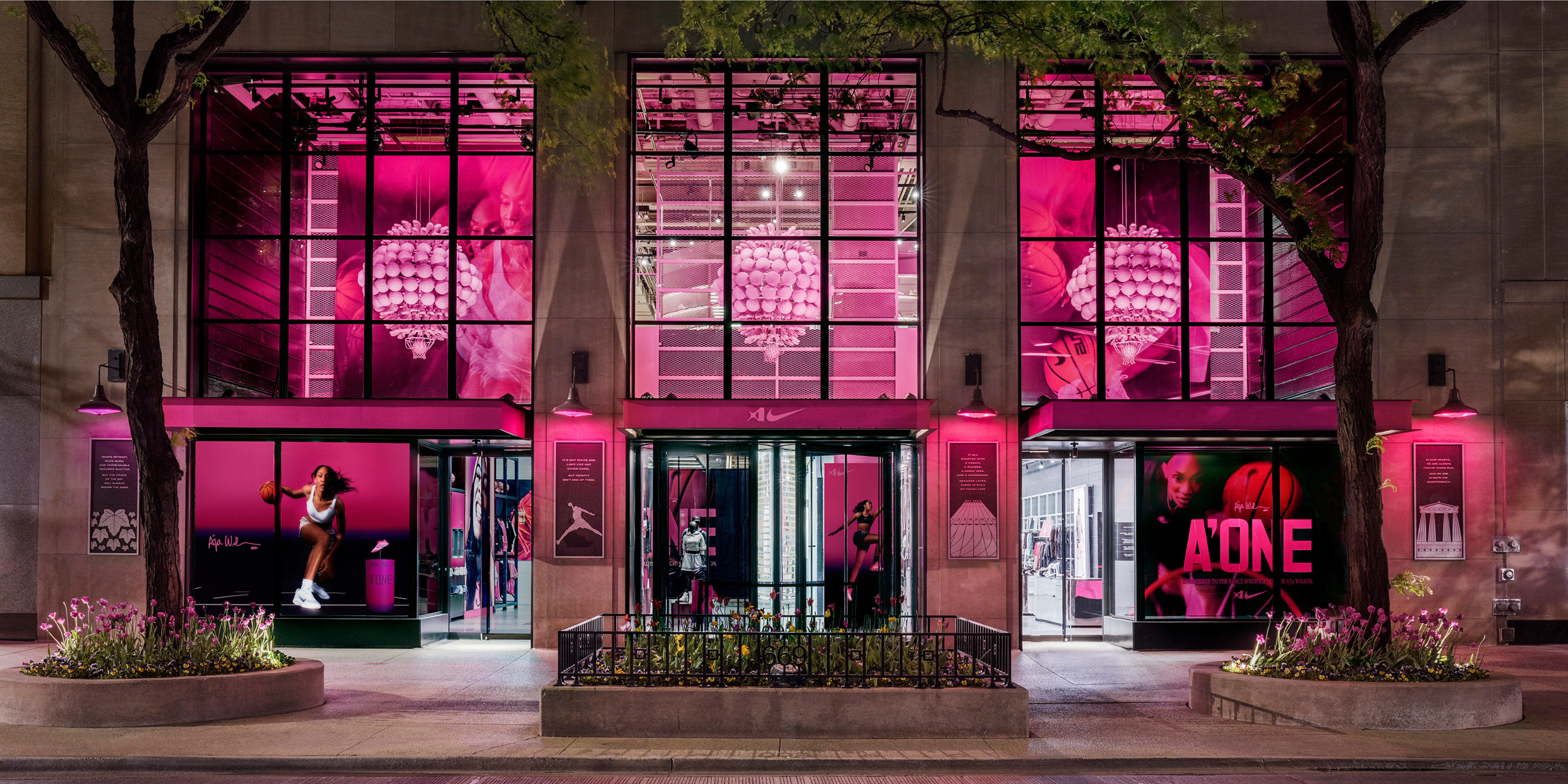 A hero Rosie Lee image