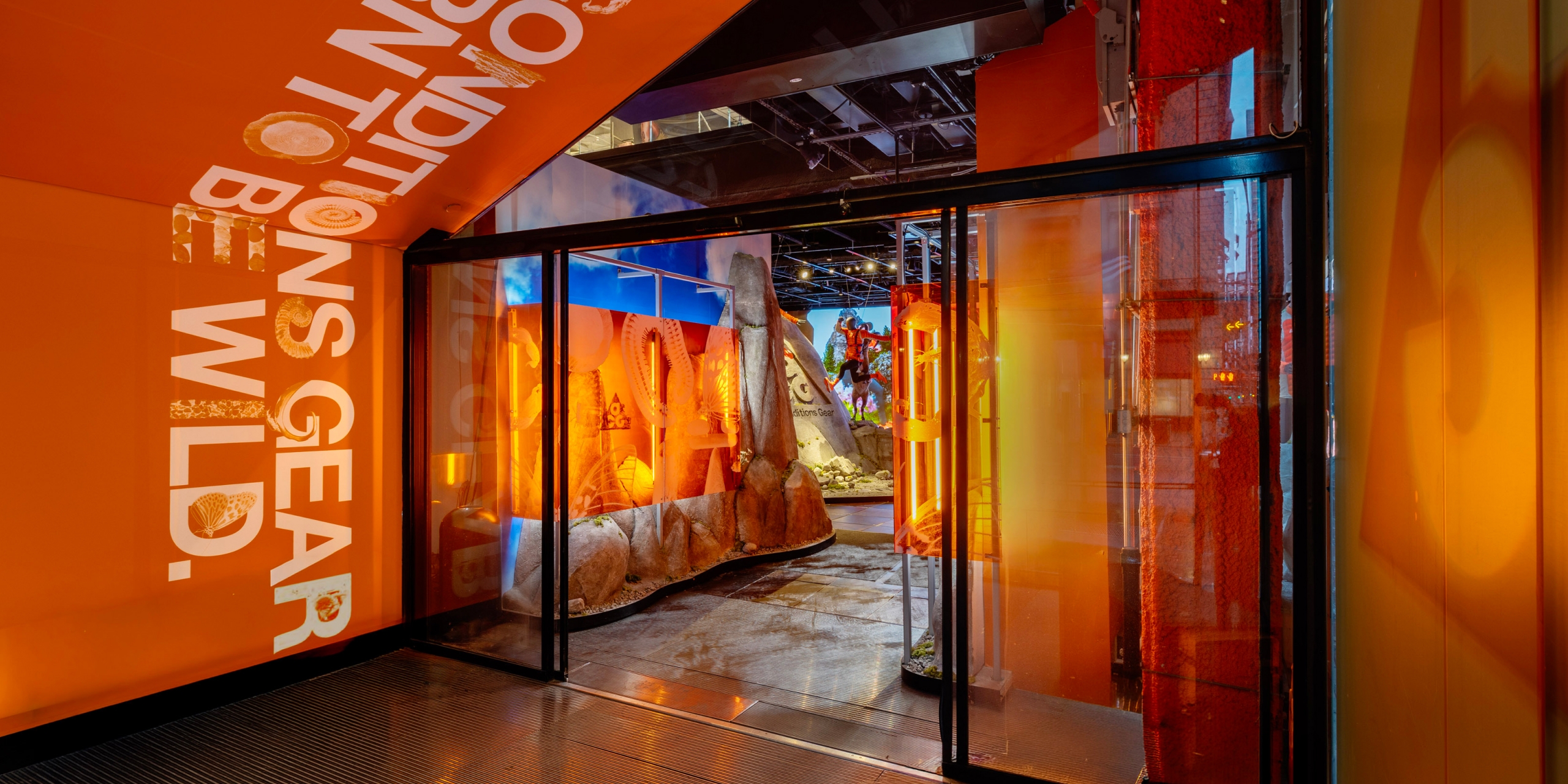 A hero Rosie Lee image