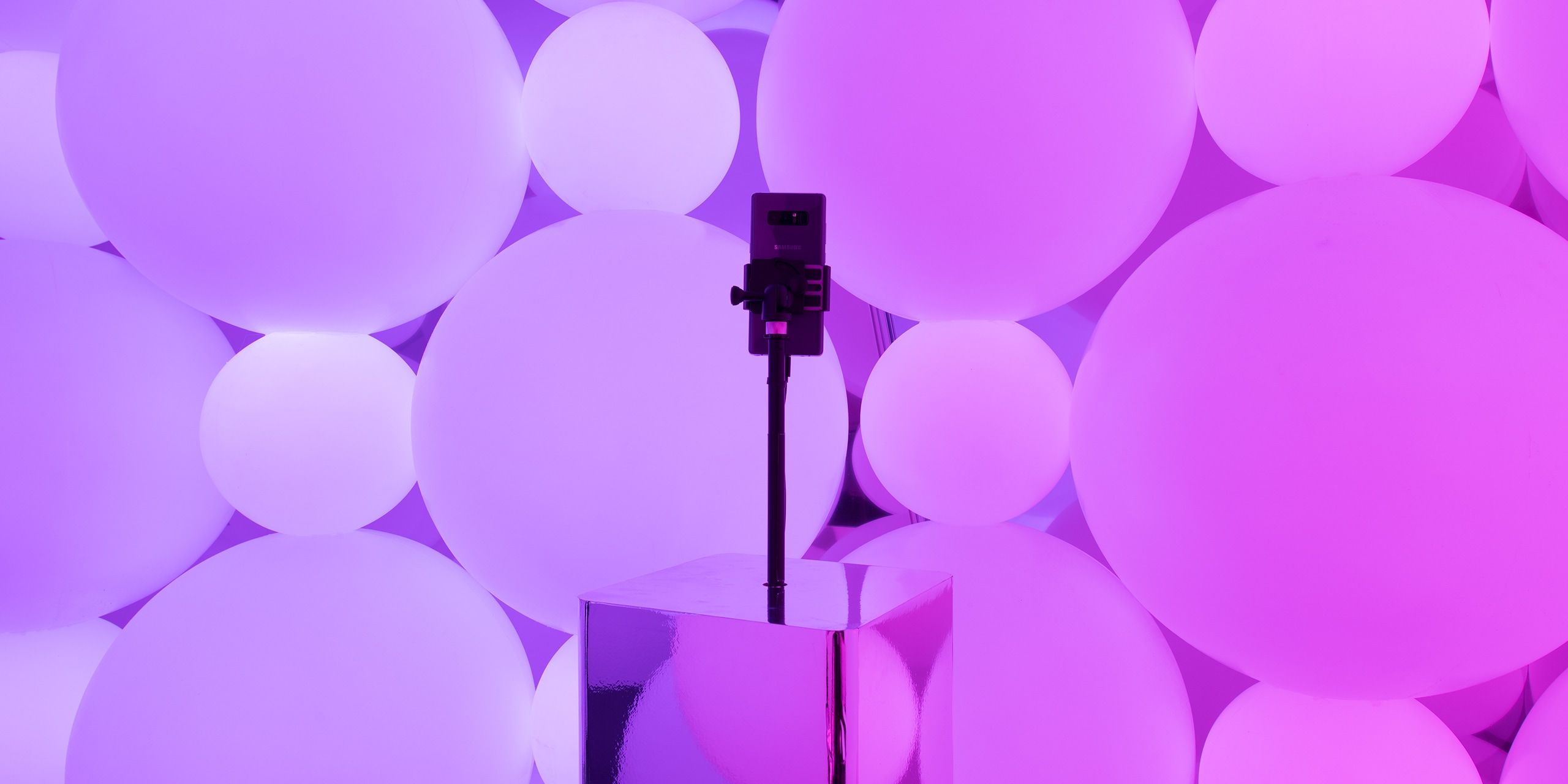 A hero Rosie Lee image