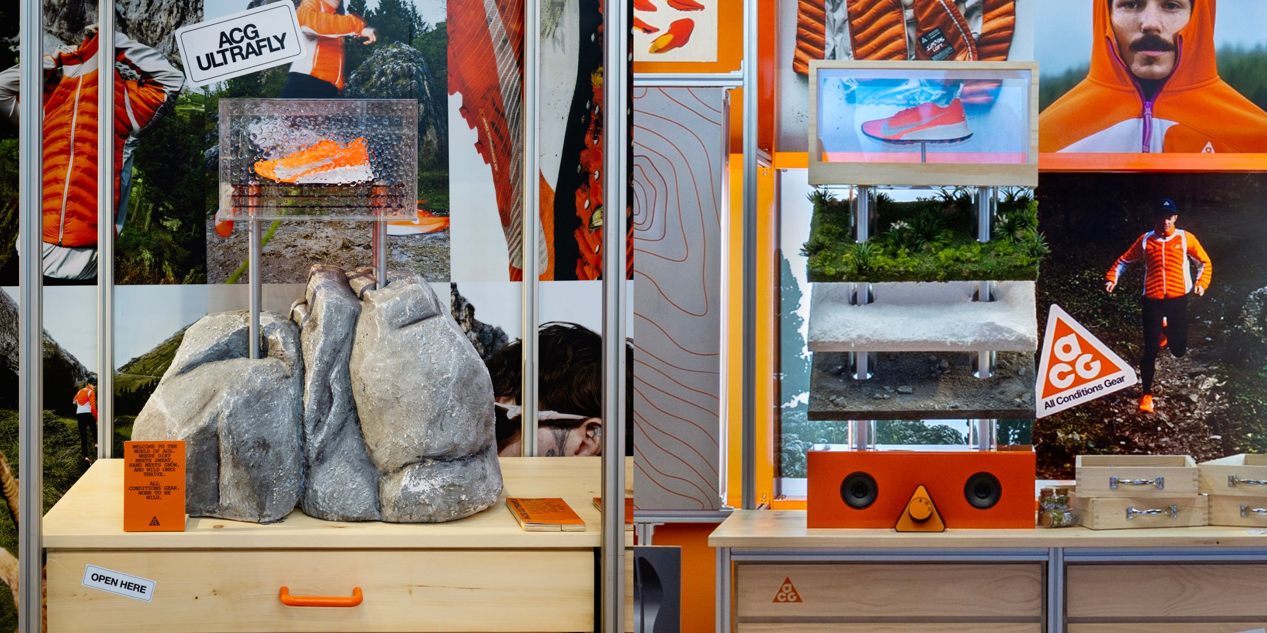 A hero Rosie Lee image