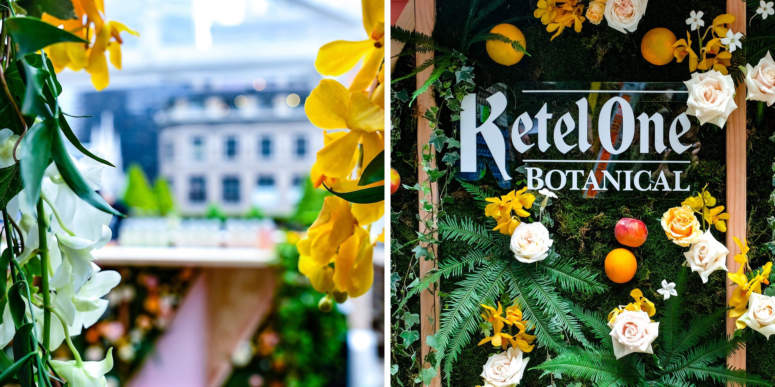 A hero Rosie Lee image