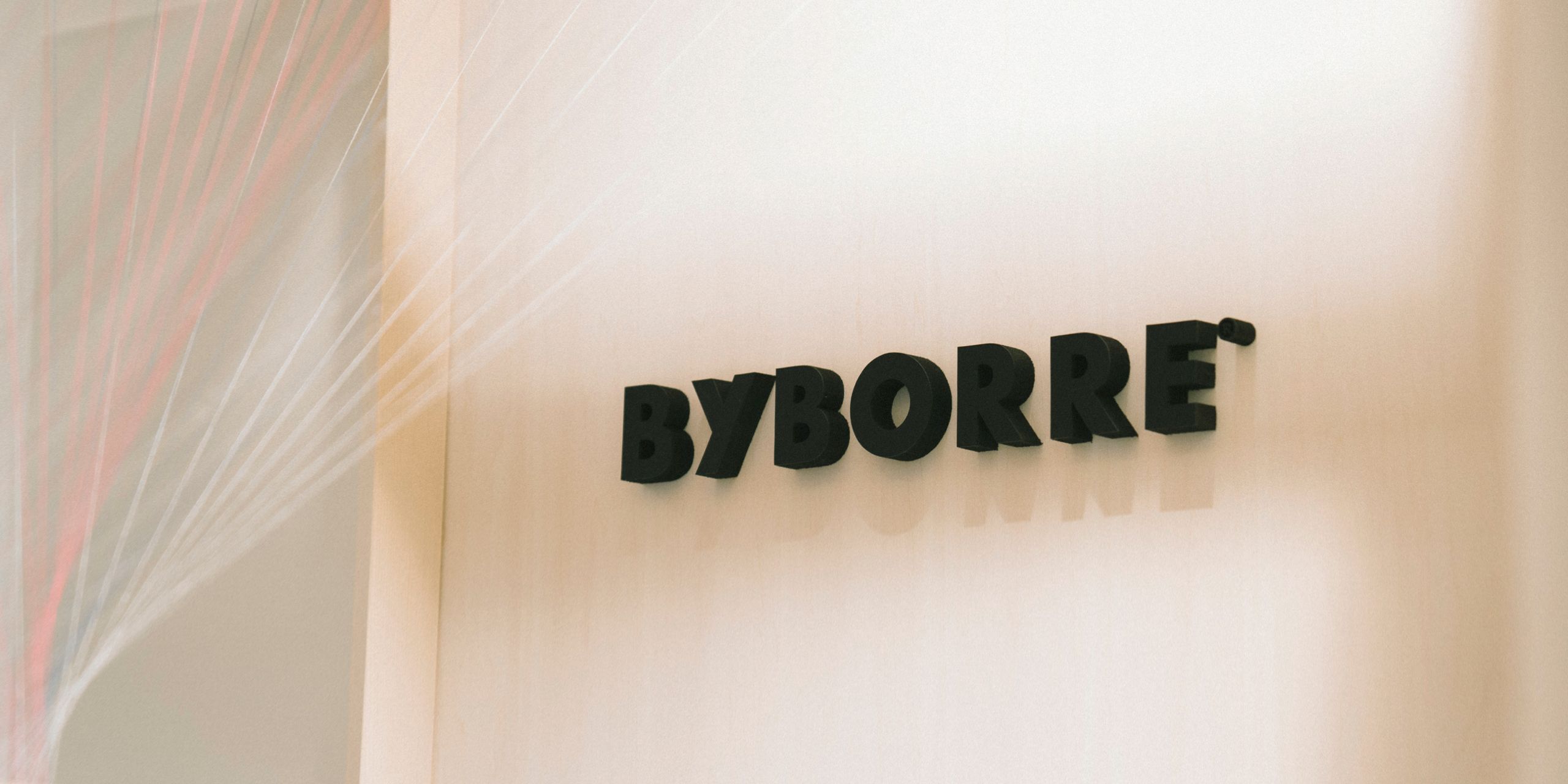 A hero Rosie Lee image