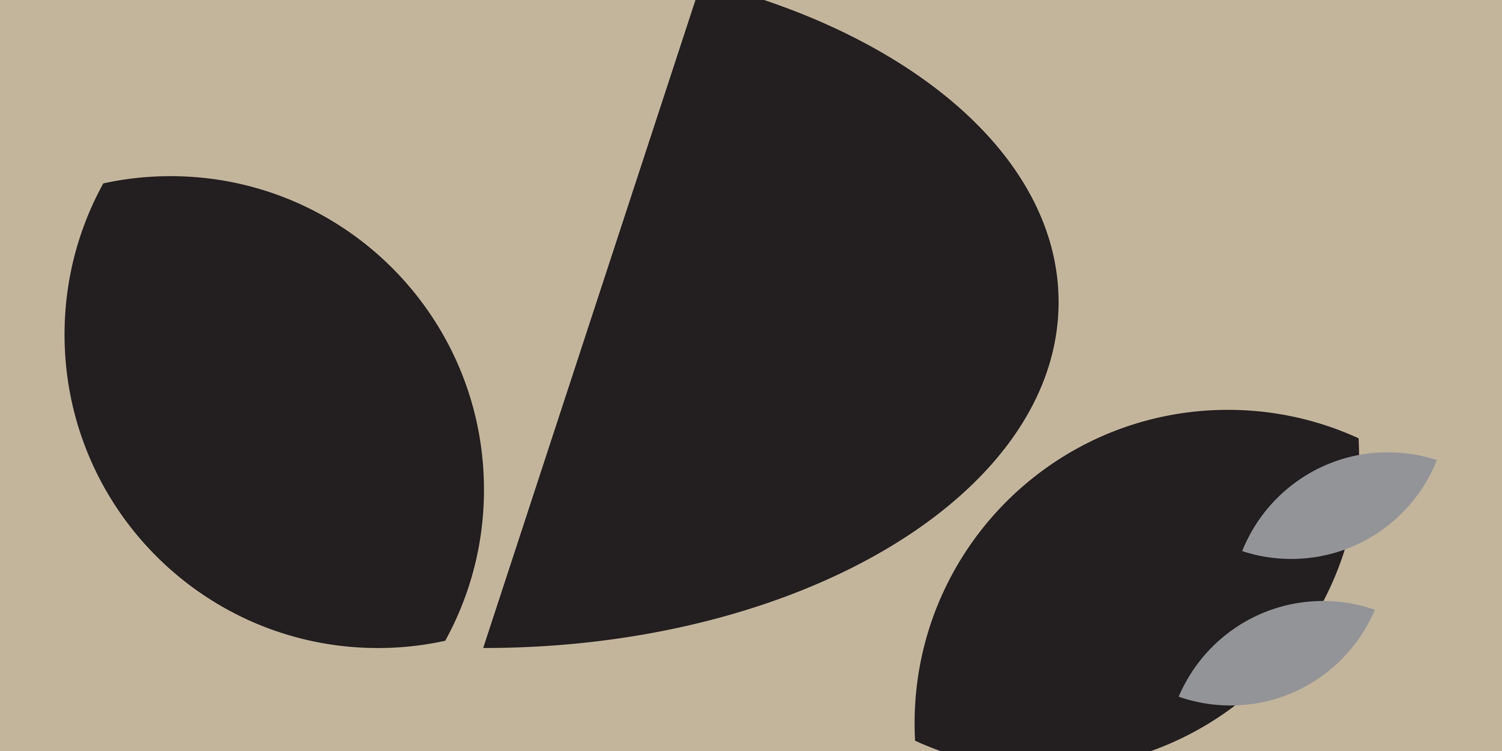 A hero Rosie Lee image