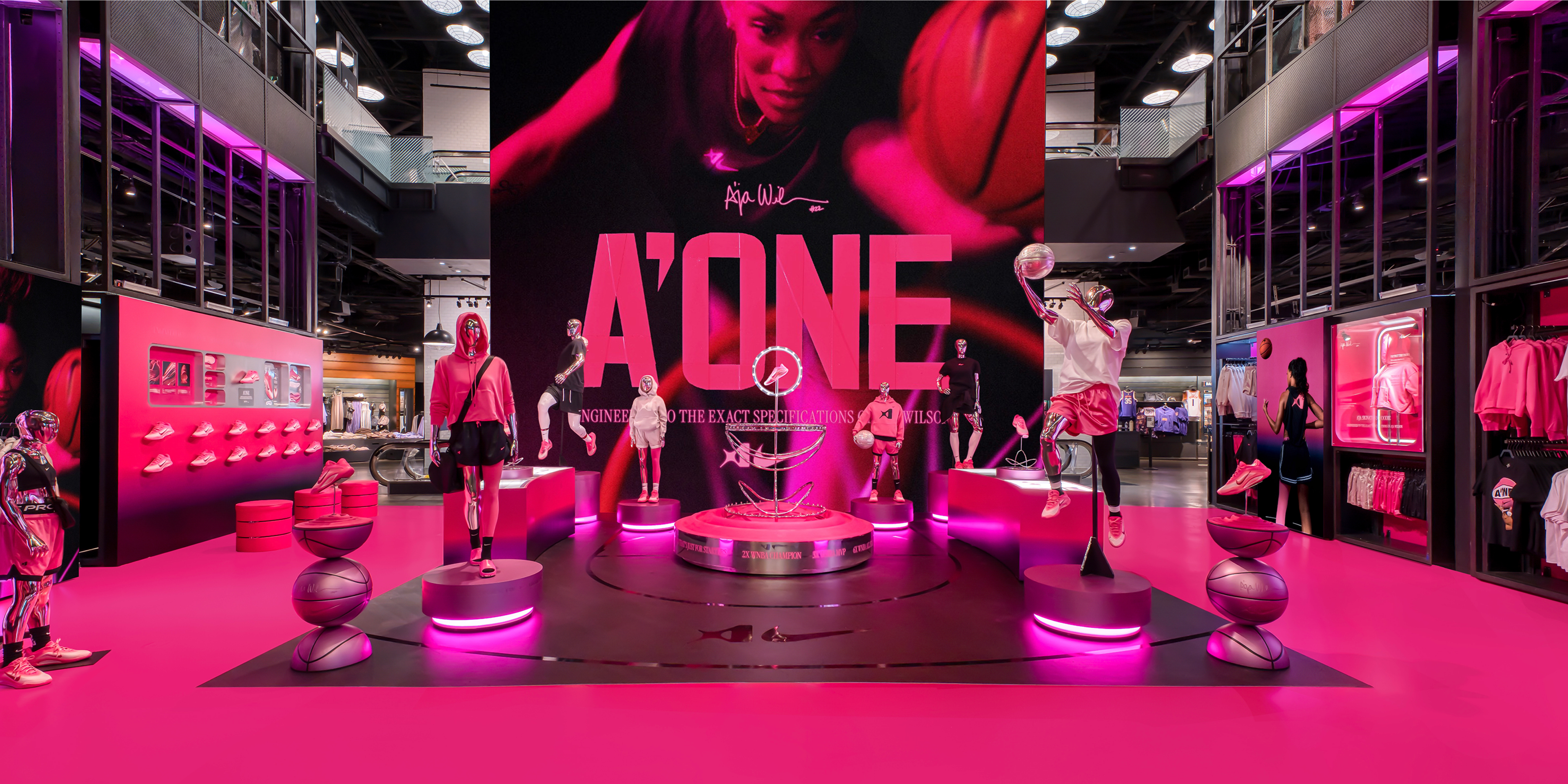 A hero Rosie Lee image