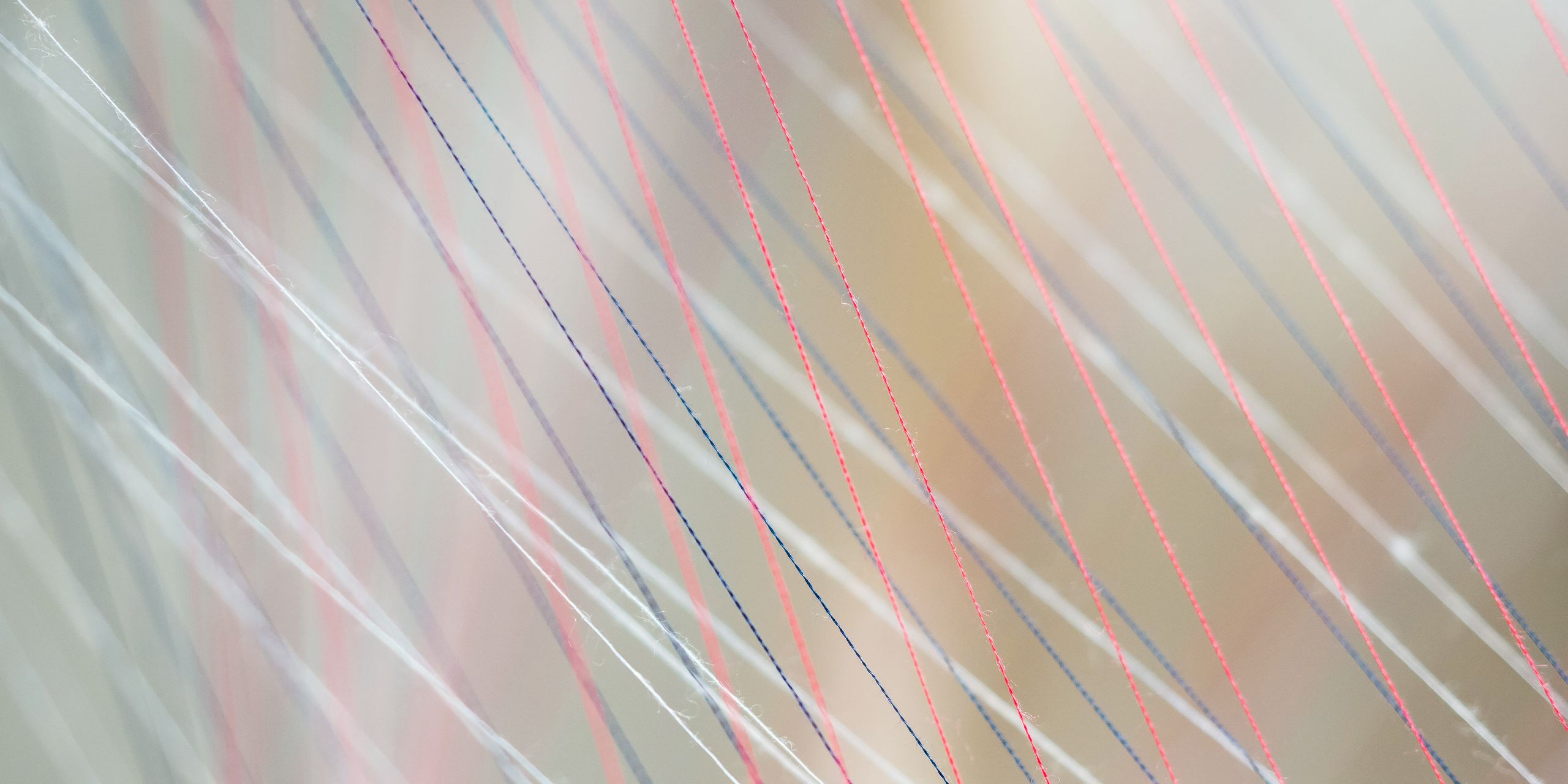 A hero Rosie Lee image