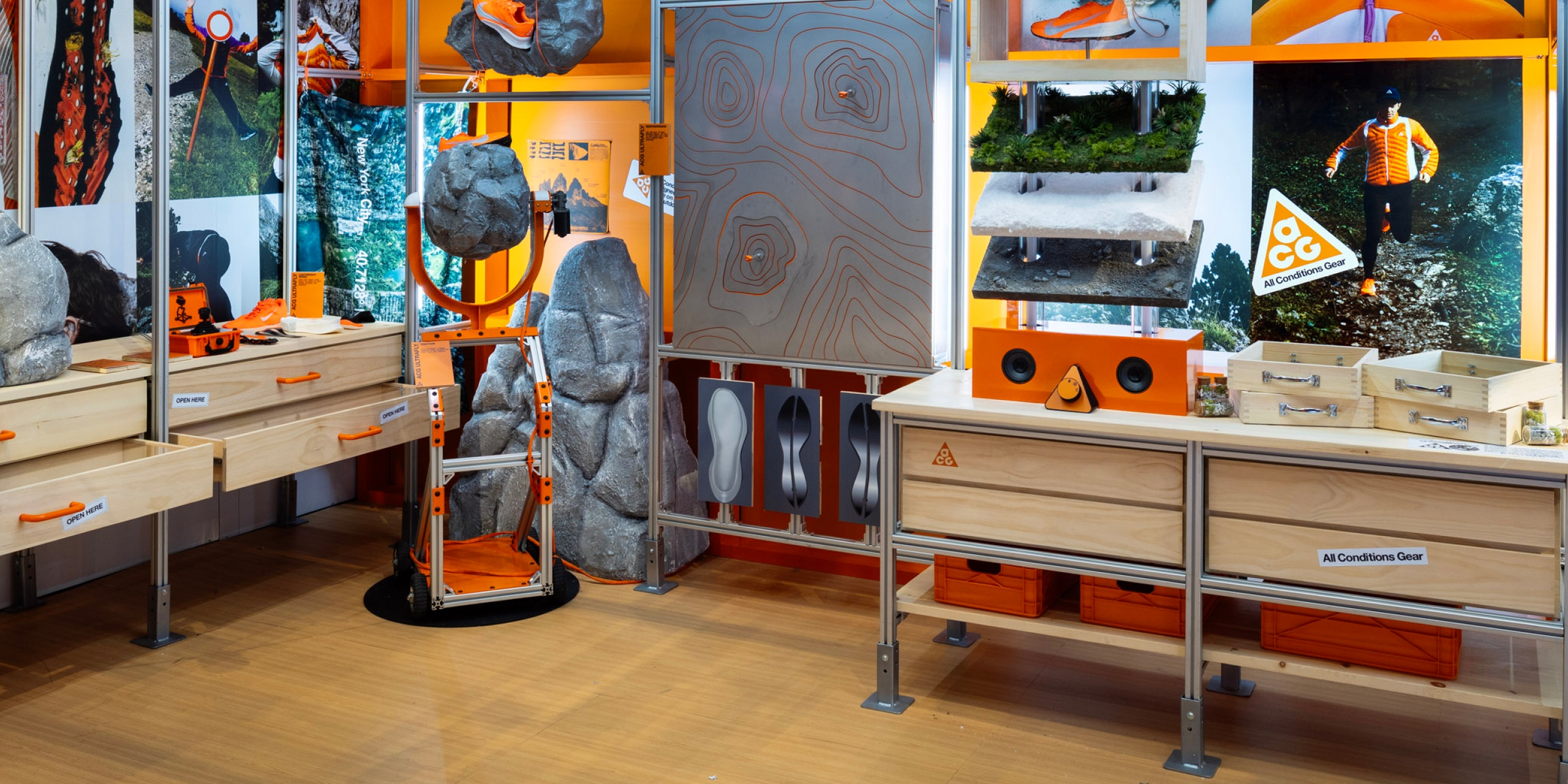 A hero Rosie Lee image