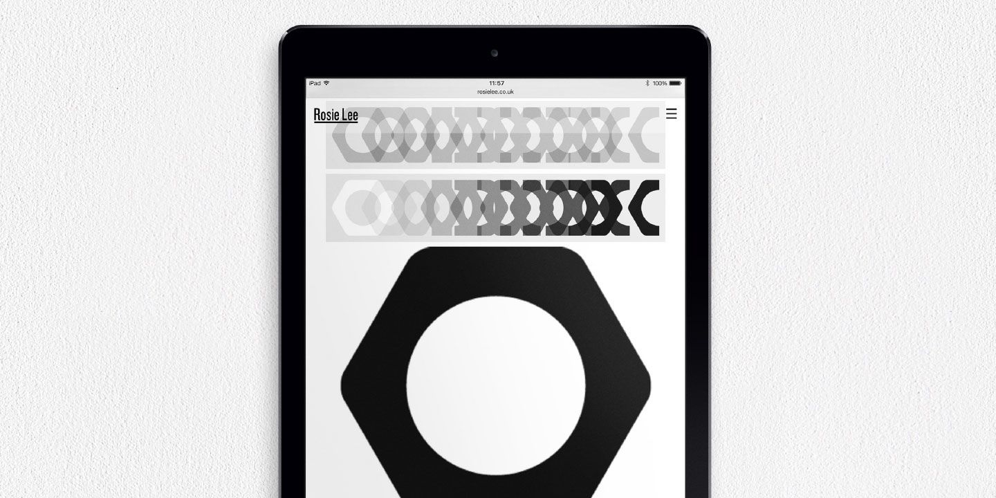 A hero Rosie Lee image