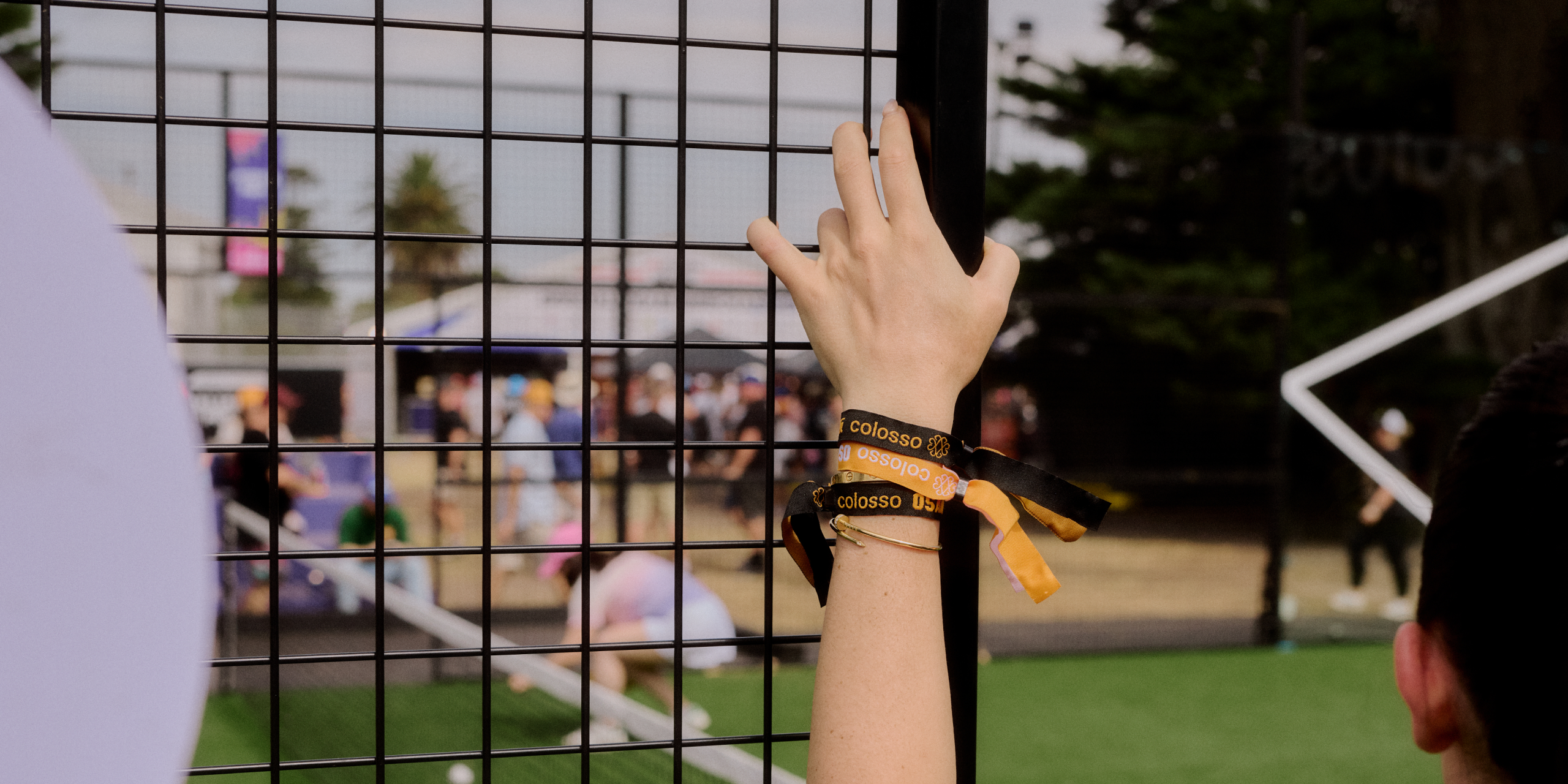 A hero Rosie Lee image