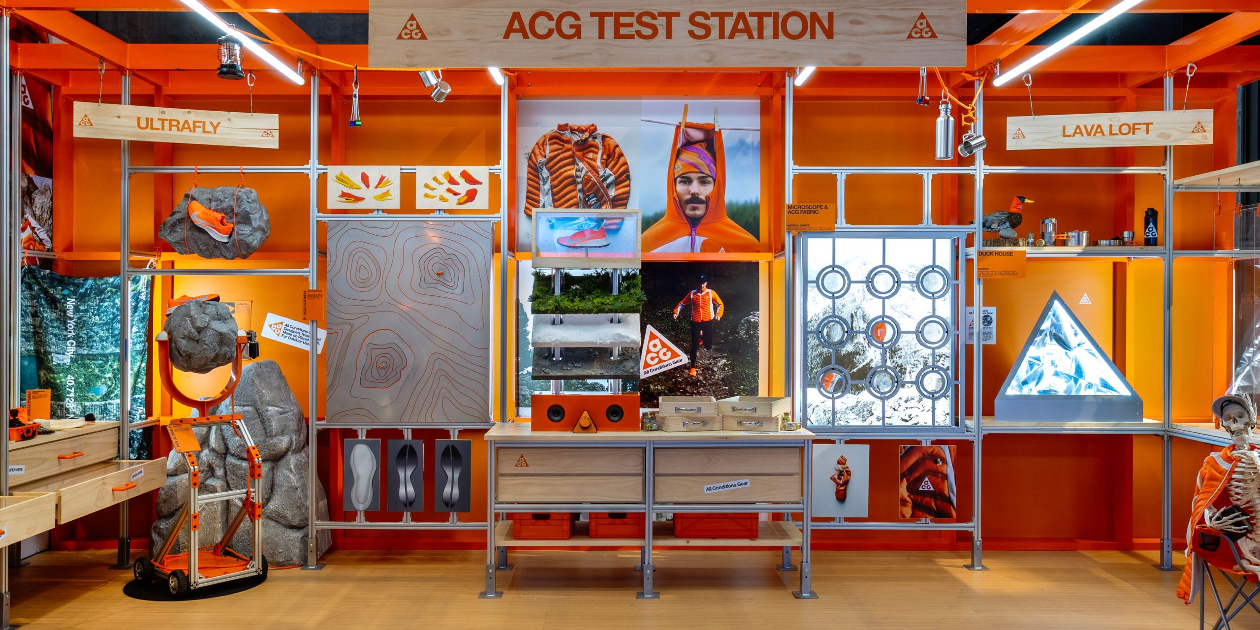 A hero Rosie Lee image