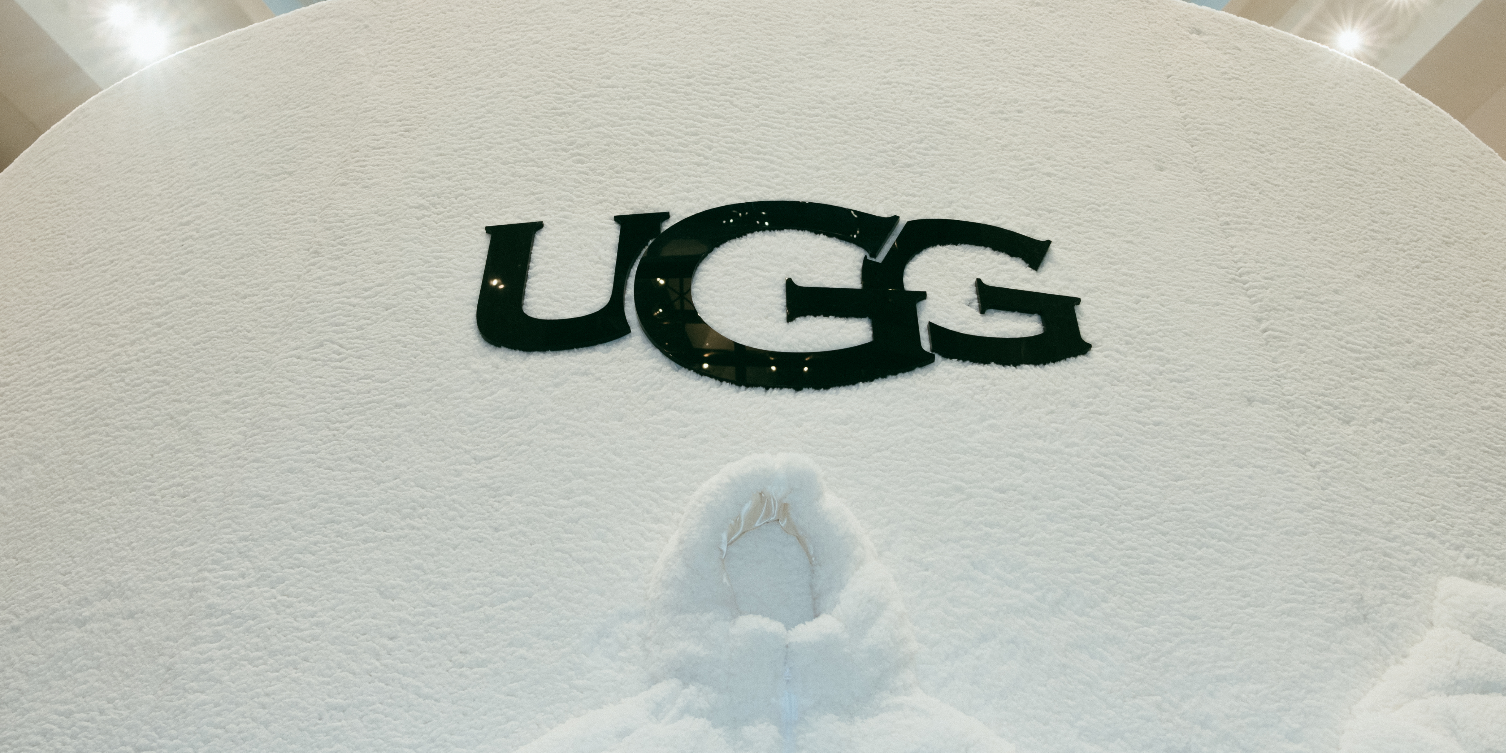 A hero Rosie Lee image